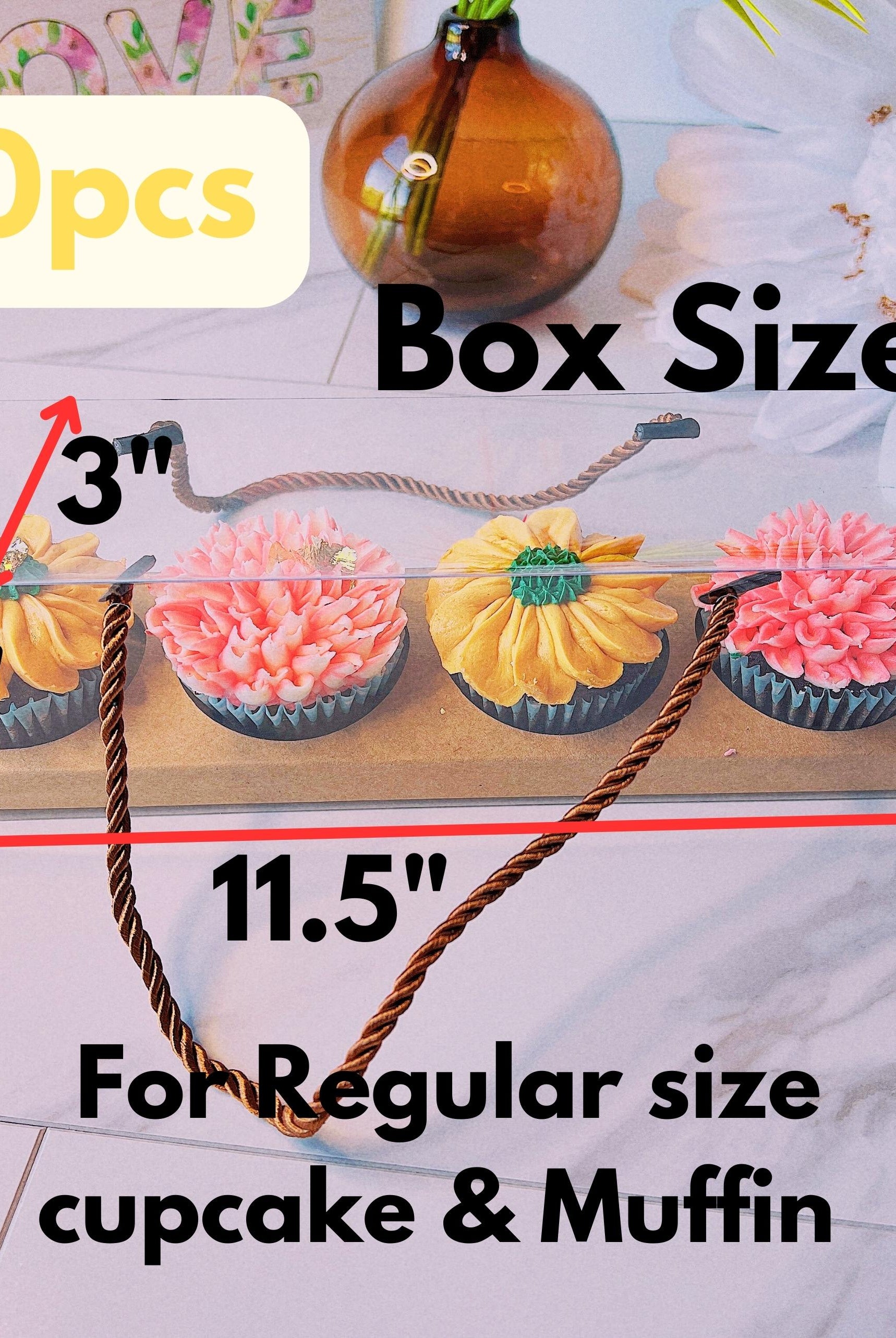 Clear Cupcake & Muffin Boxes with 4 Holes