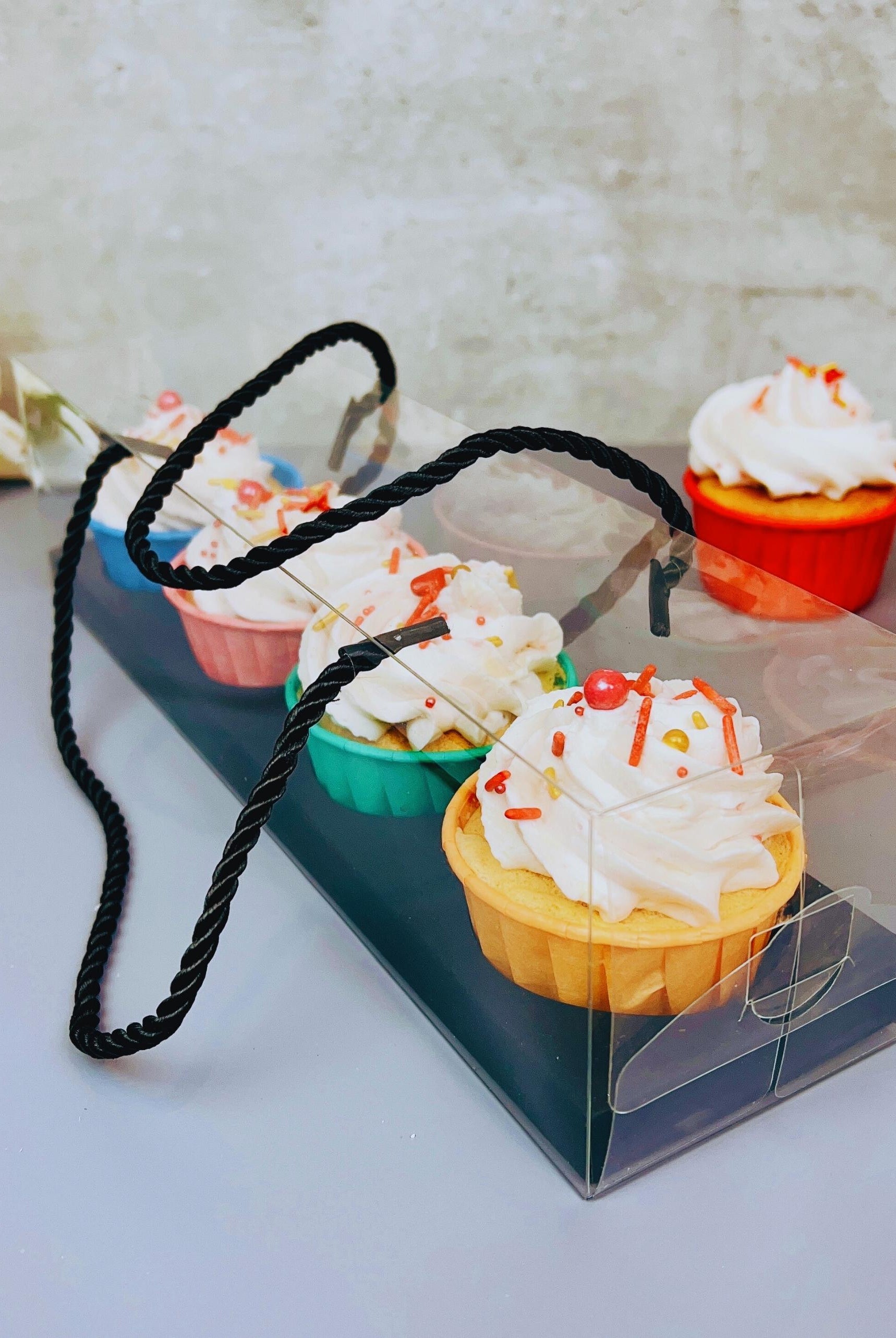 Clear Cupcake & Muffin Boxes with 4 Holes