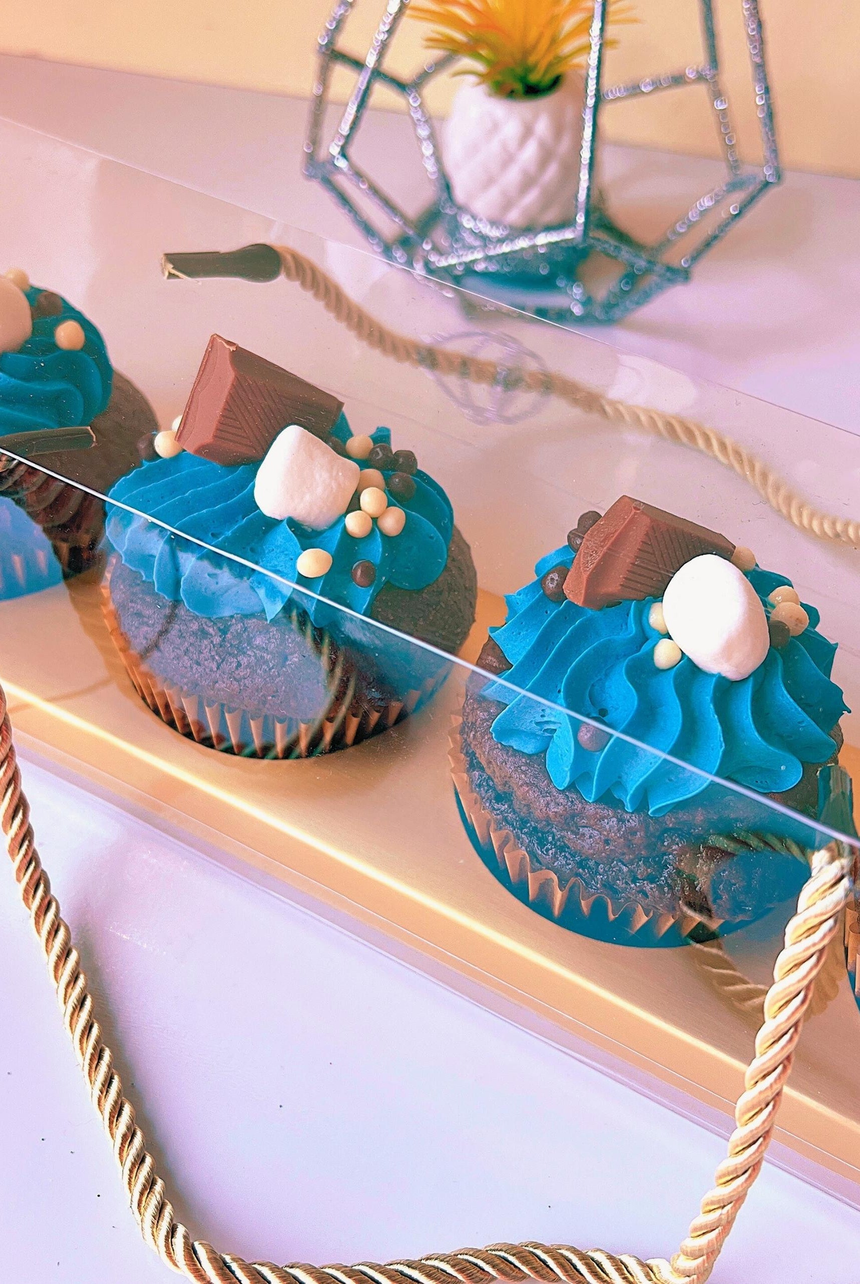 Clear Cupcake & Muffin Boxes with 4 Holes