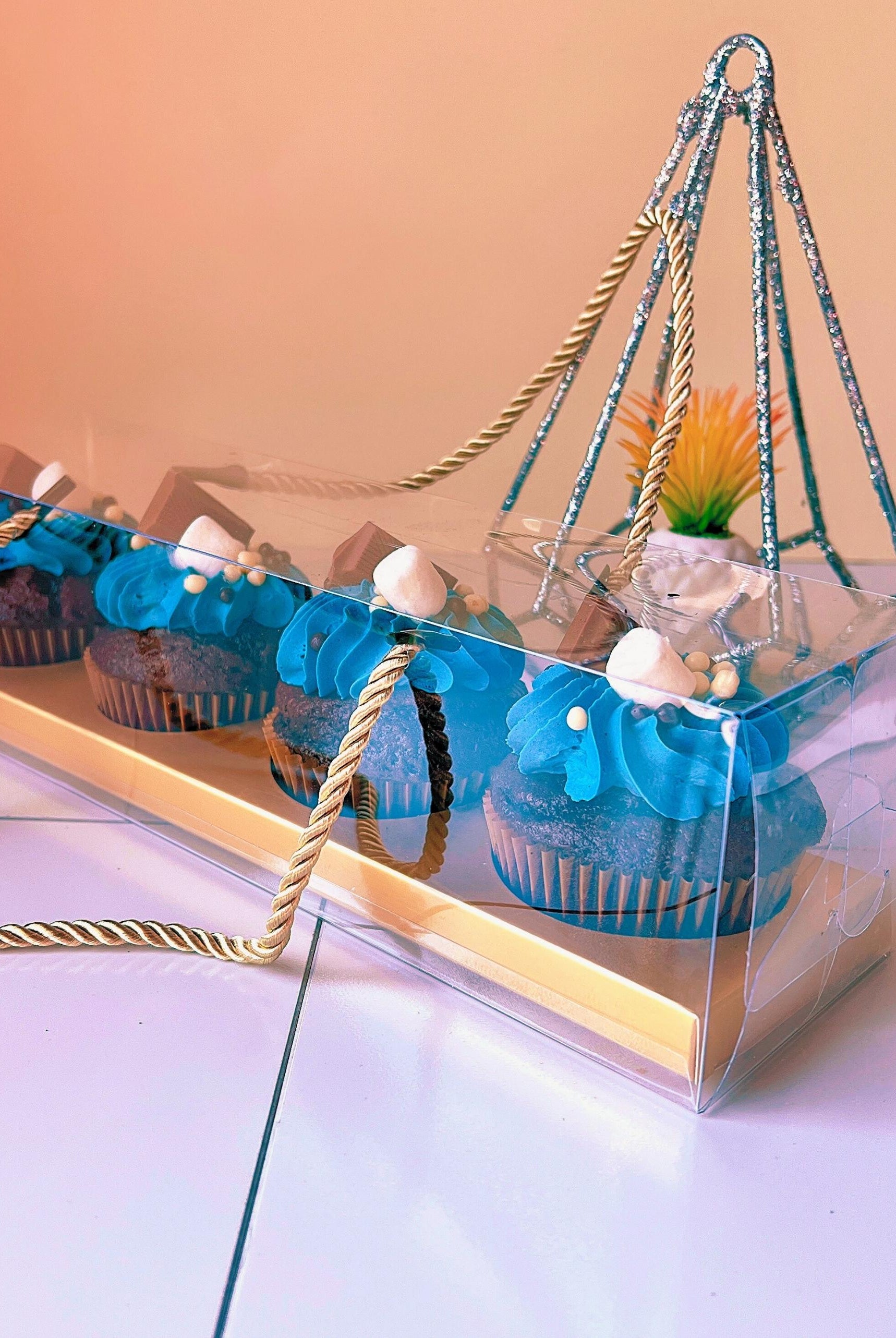 Clear Cupcake & Muffin Boxes with 4 Holes