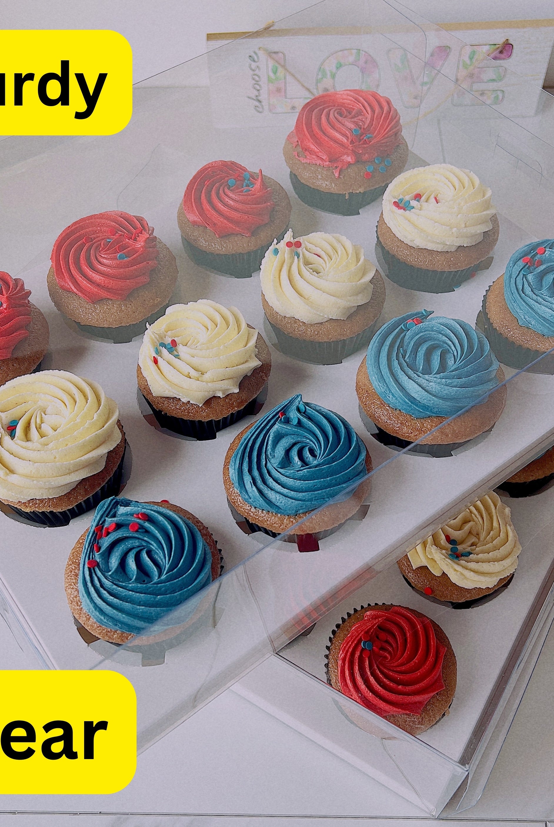 Clear Cupcake & Muffin boxes with 12 holes