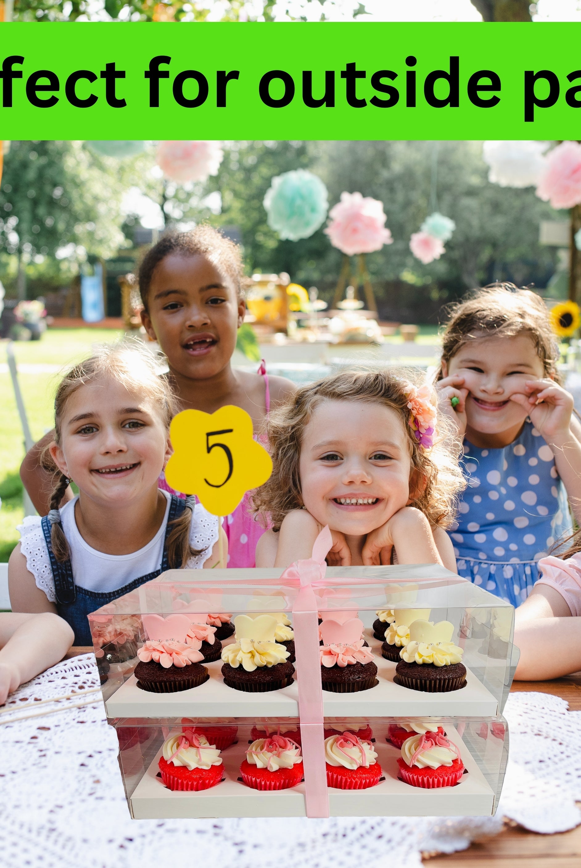 Clear Cupcake & Muffin boxes with 12 holes