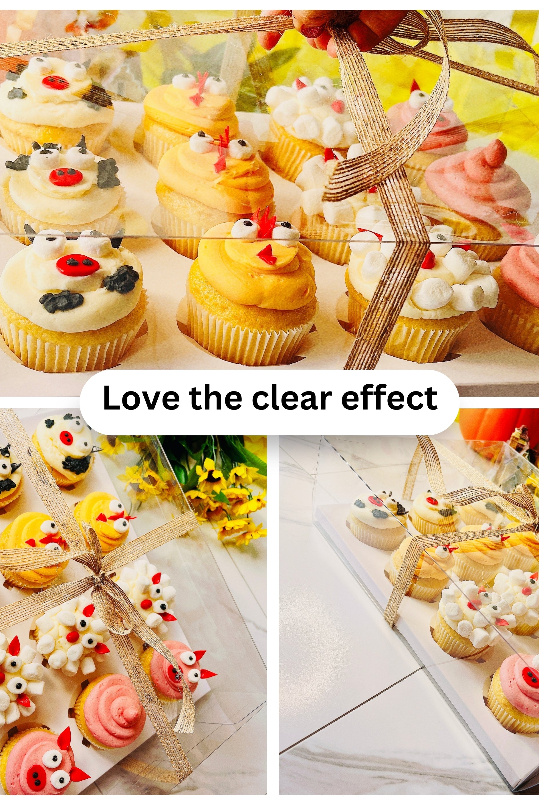 Clear Cupcake & Muffin boxes with 12 holes