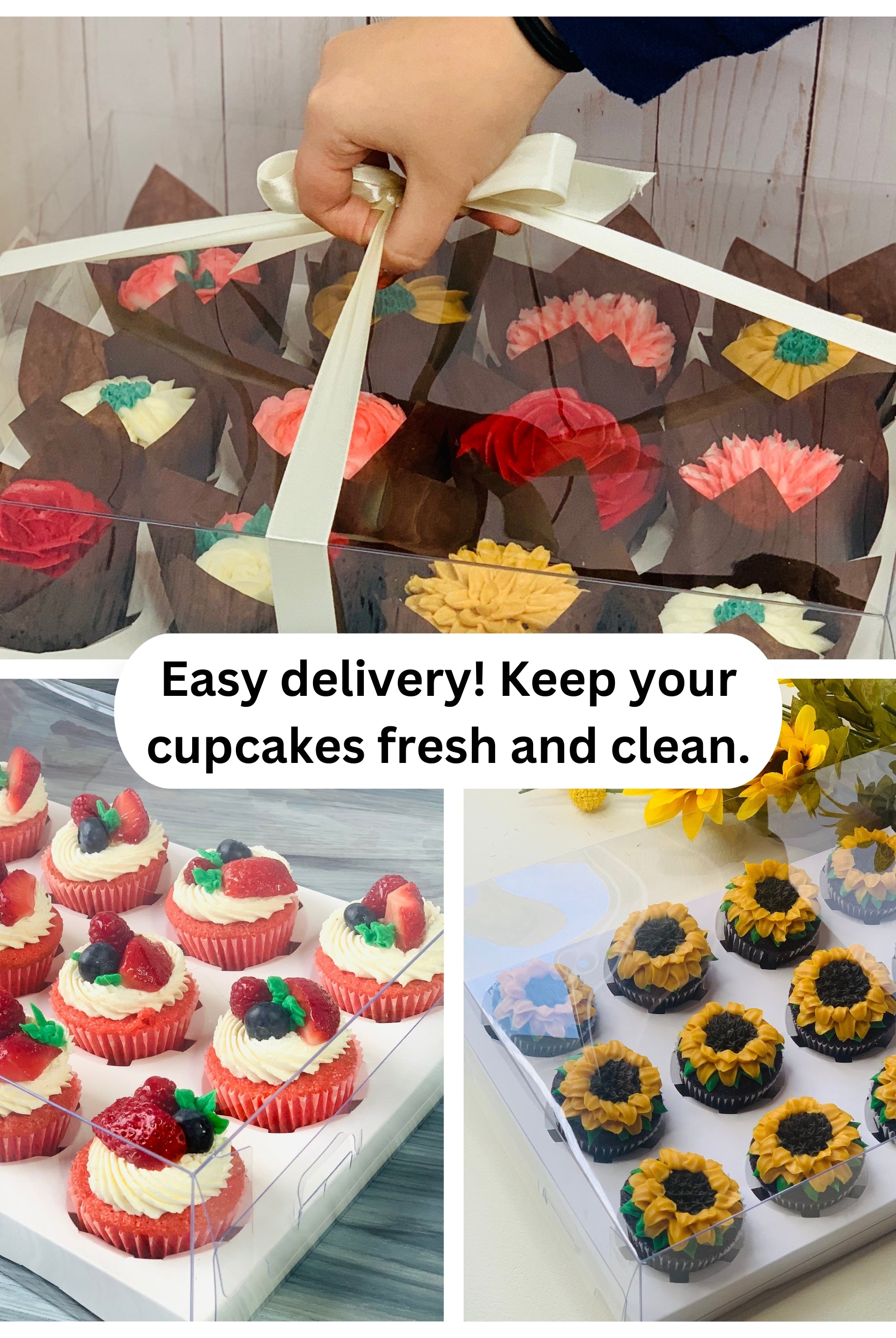 Clear Cupcake & Muffin boxes with 12 holes