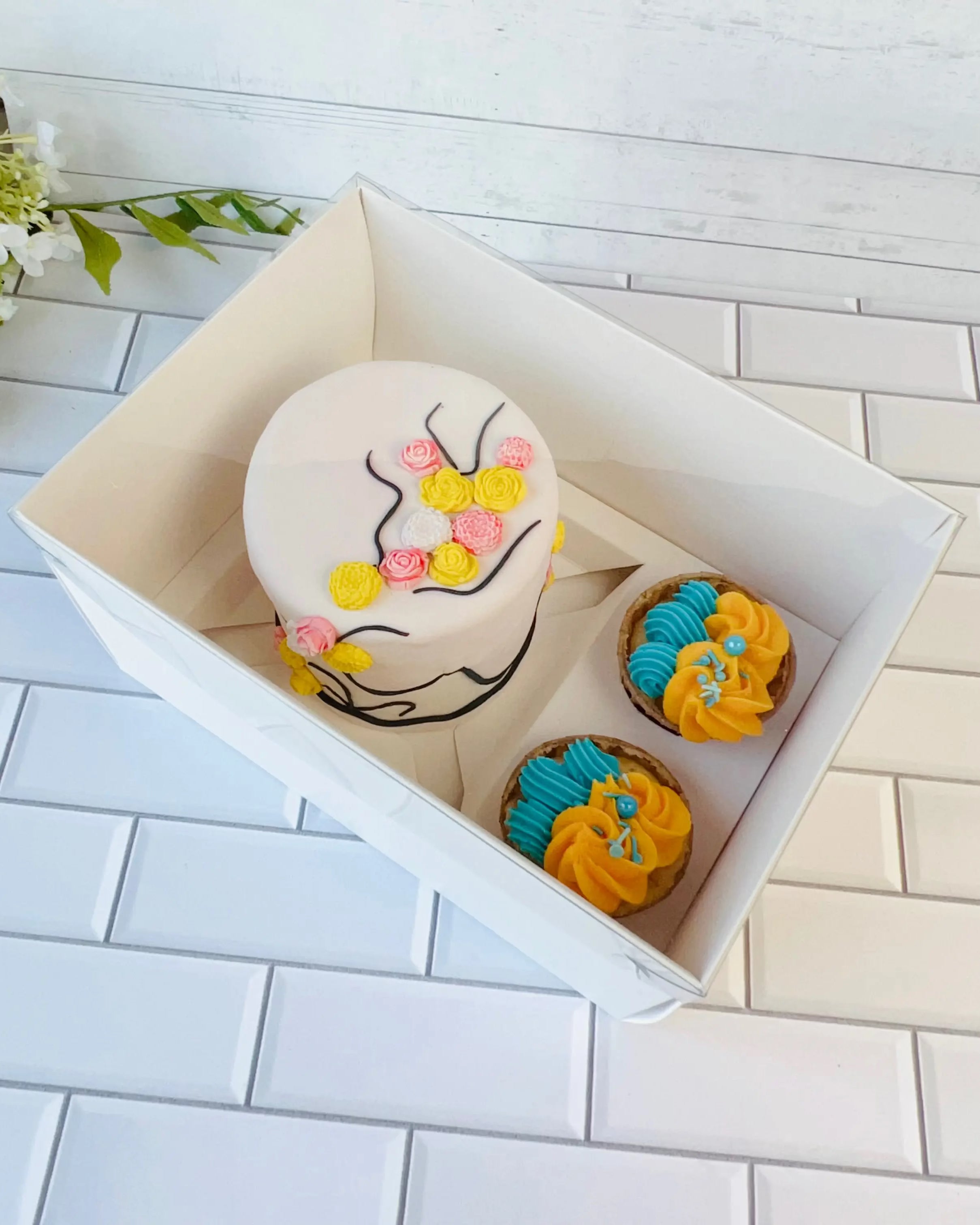 Cake and Cupcake Bento Boxes with Clear Lid 1 Cake and 2 Cupcakes - Cupcake boxes