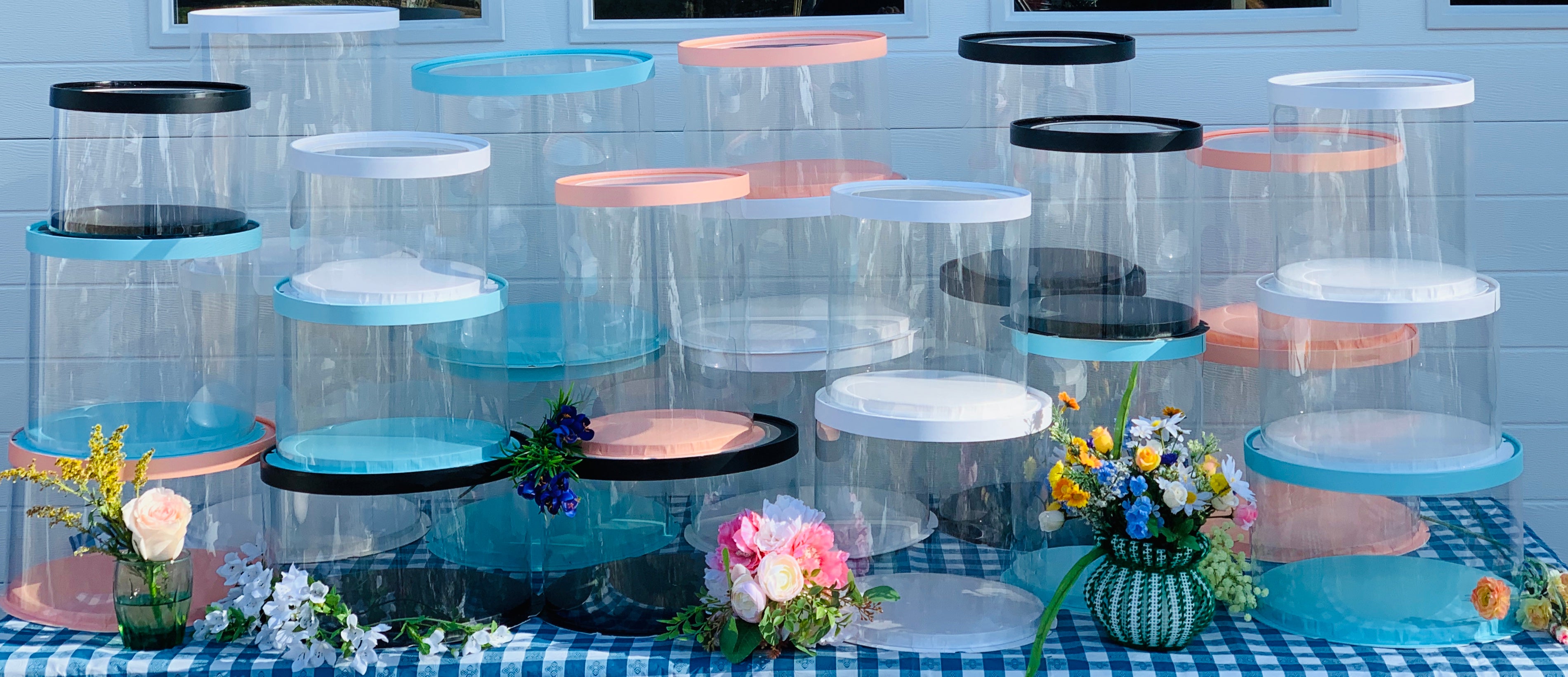 clear cake boxes