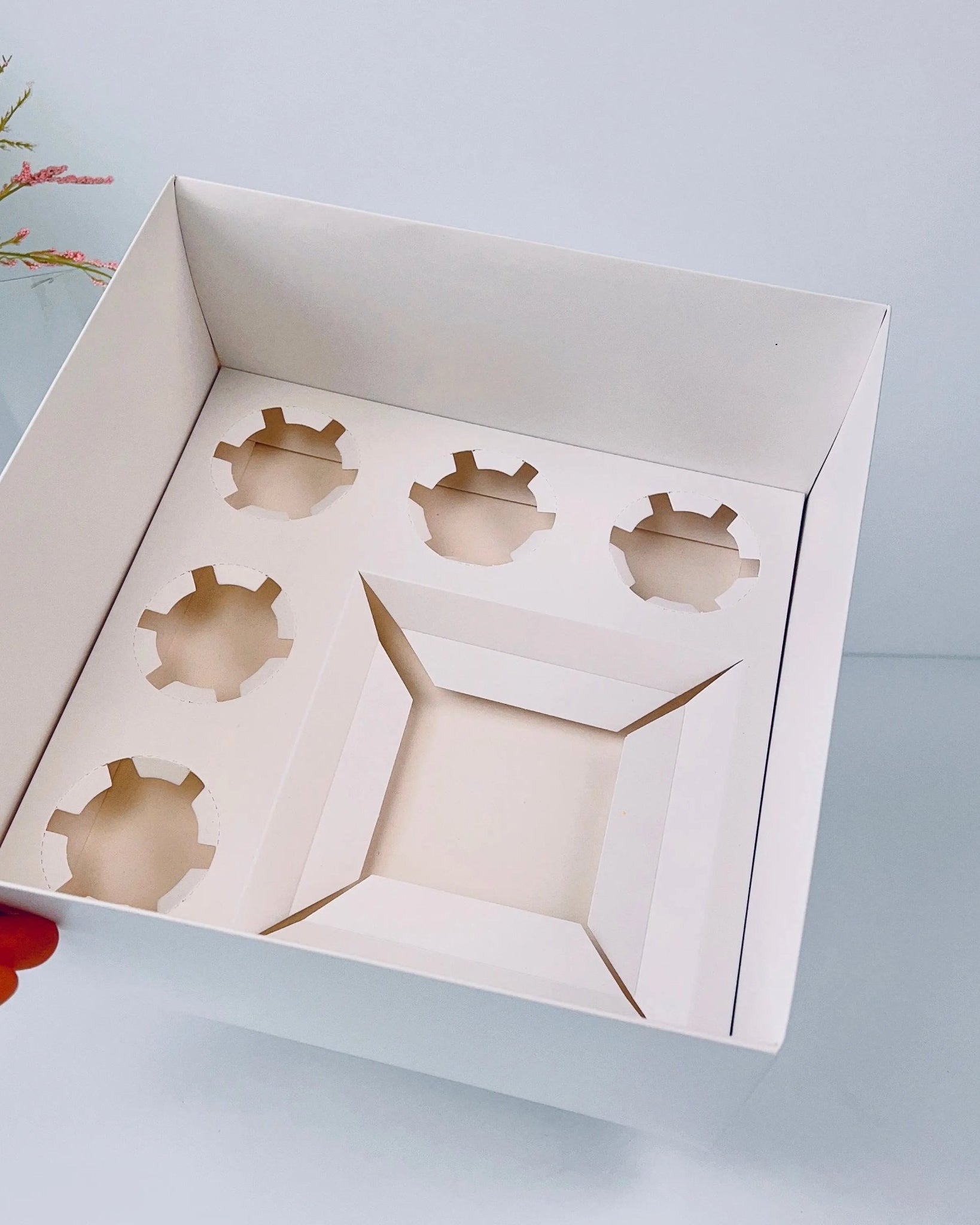 Cake and Cupcakes Bento Boxes With Clear Lid and 5 Cupcake Holes - cakecupake5Sweet Degrees Kitchen