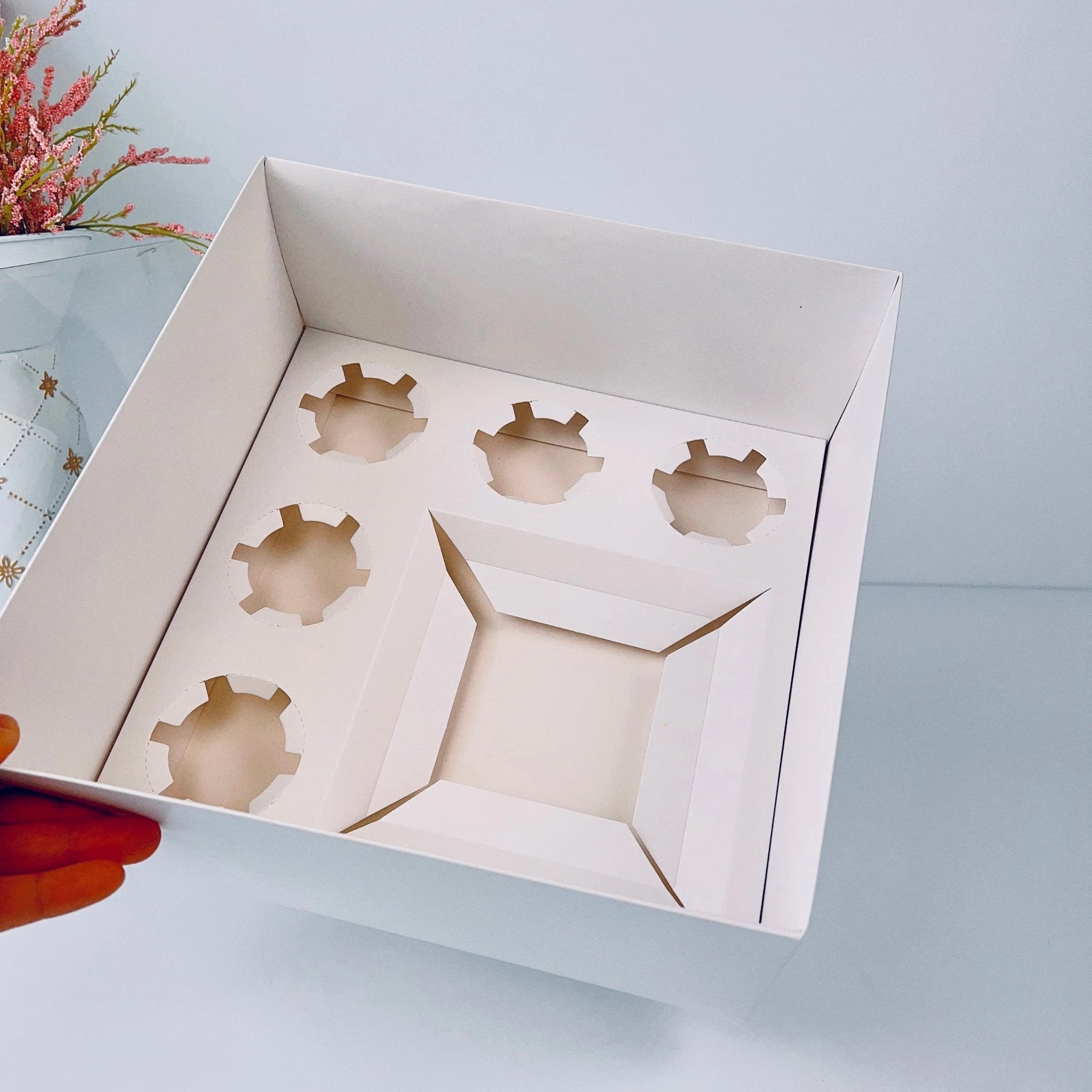 Cake and Cupcake Bento Box Clear Lid 1 Cake and 5 Cupcakes - cakecupake5 Cupcake boxes