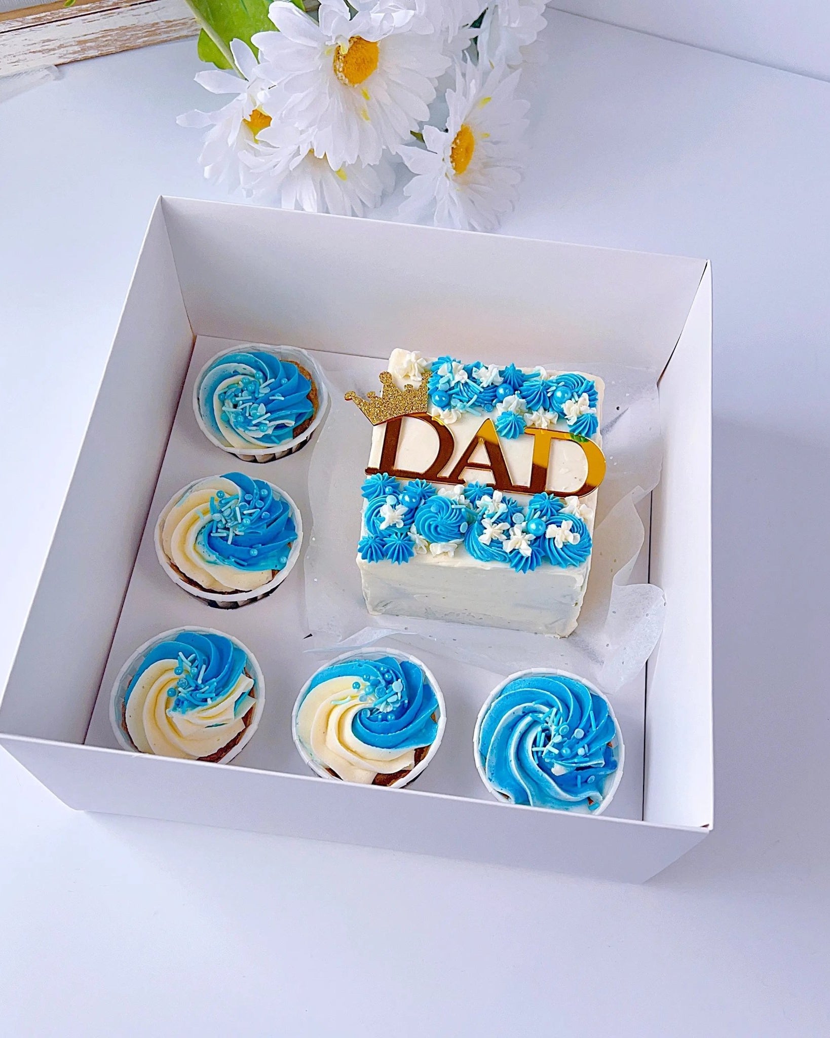 Cake and Cupcakes Bento Boxes With Clear Lid and 5 Cupcake Holes - cakecupake5Sweet Degrees Kitchen