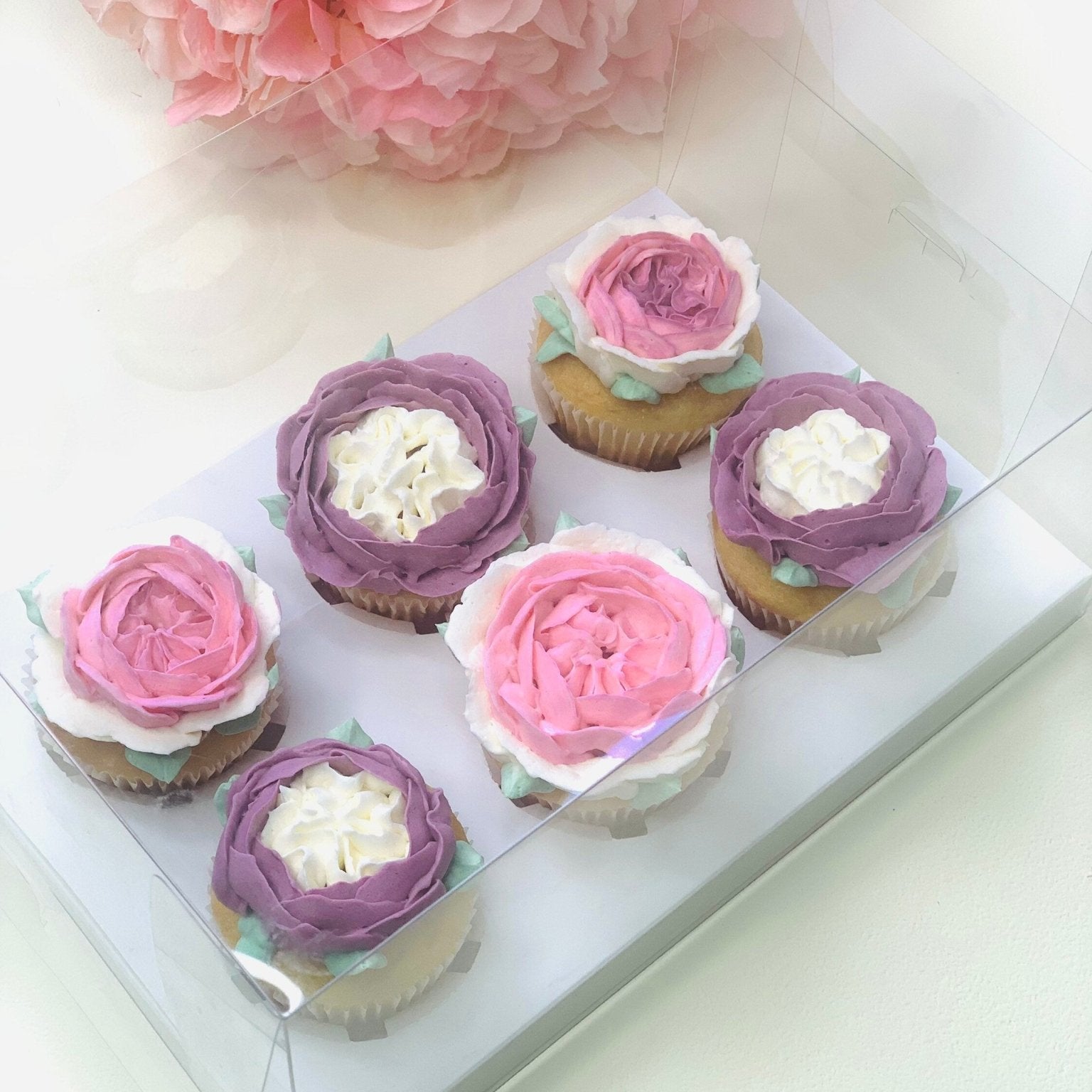 Clear Cupcake Boxes for 6 Cupcakes - variant_product_type