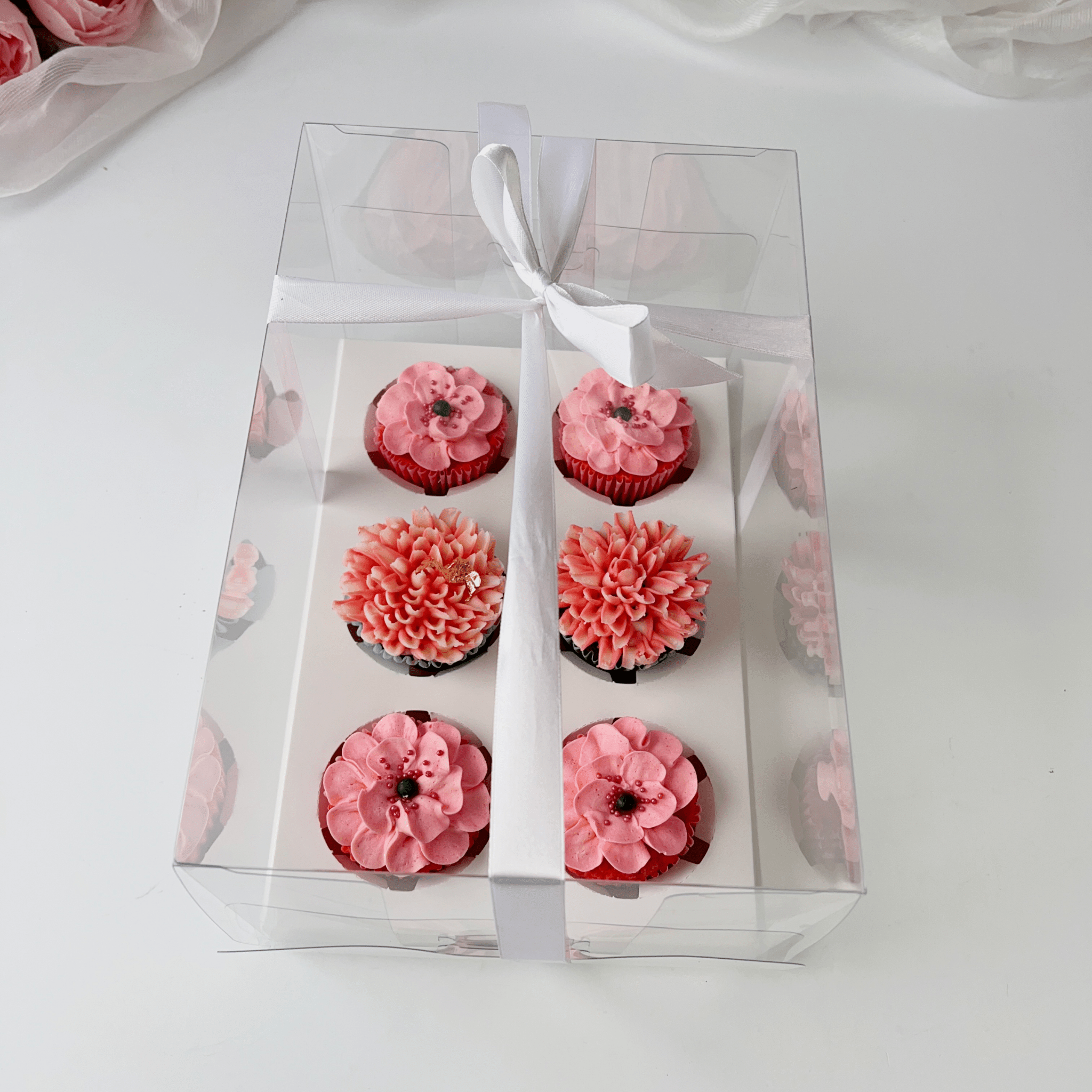 Clear Cupcake Boxes for 6 Cupcakes - variant_product_type