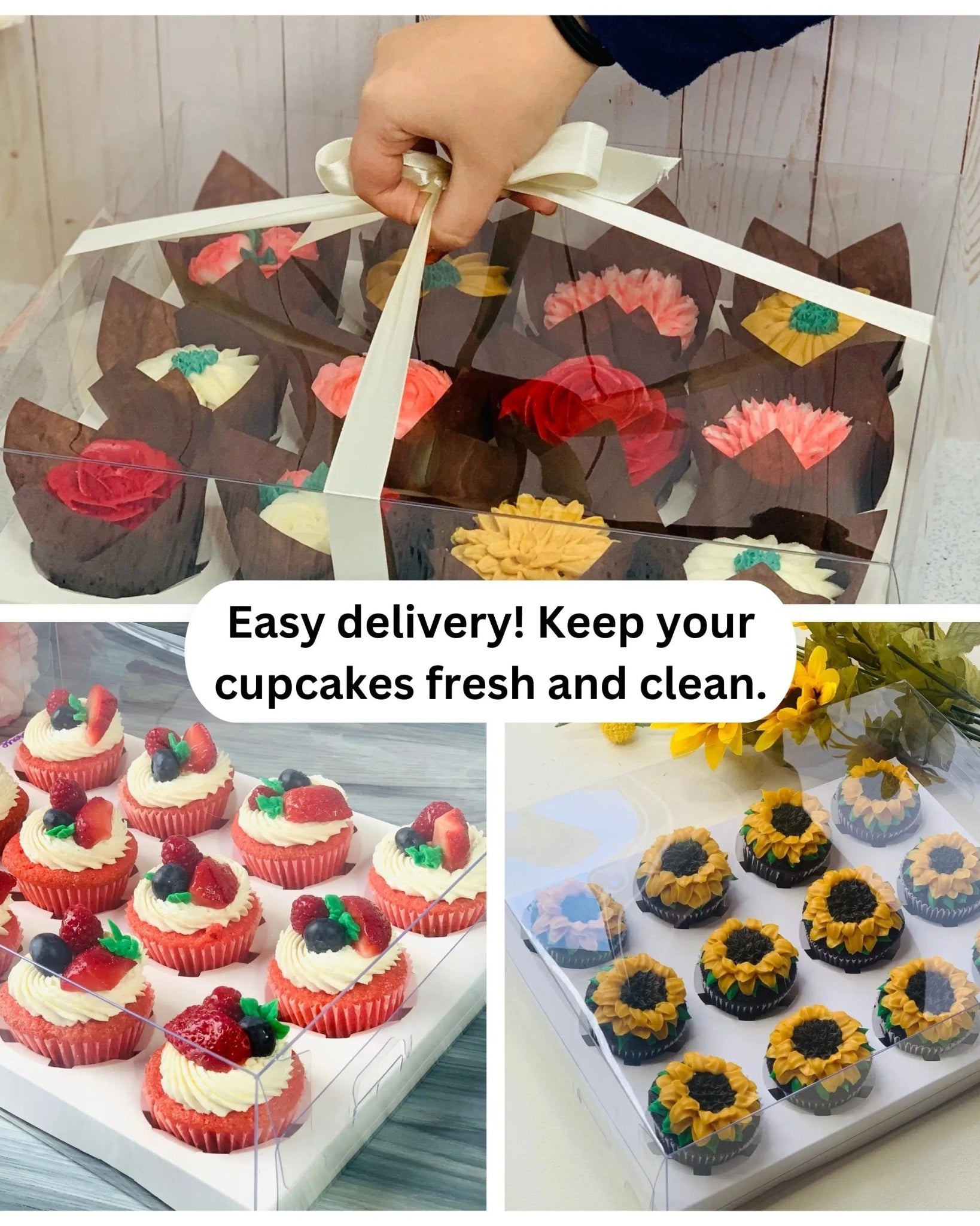 Clear Cupcake & Muffin Boxes with 12 Holes - cupcake12Sweet Degrees Kitchen