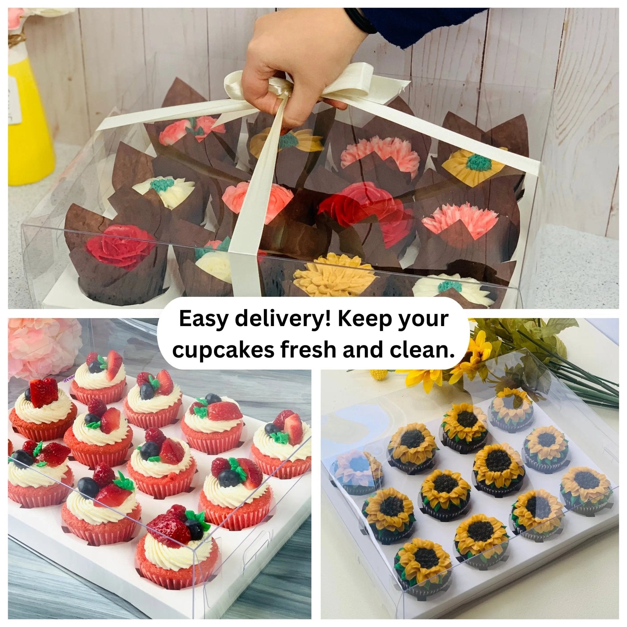 Clear Cupcake or Muffin Boxes for 12 Standard Cupcakes with Insert - Cupcake boxes