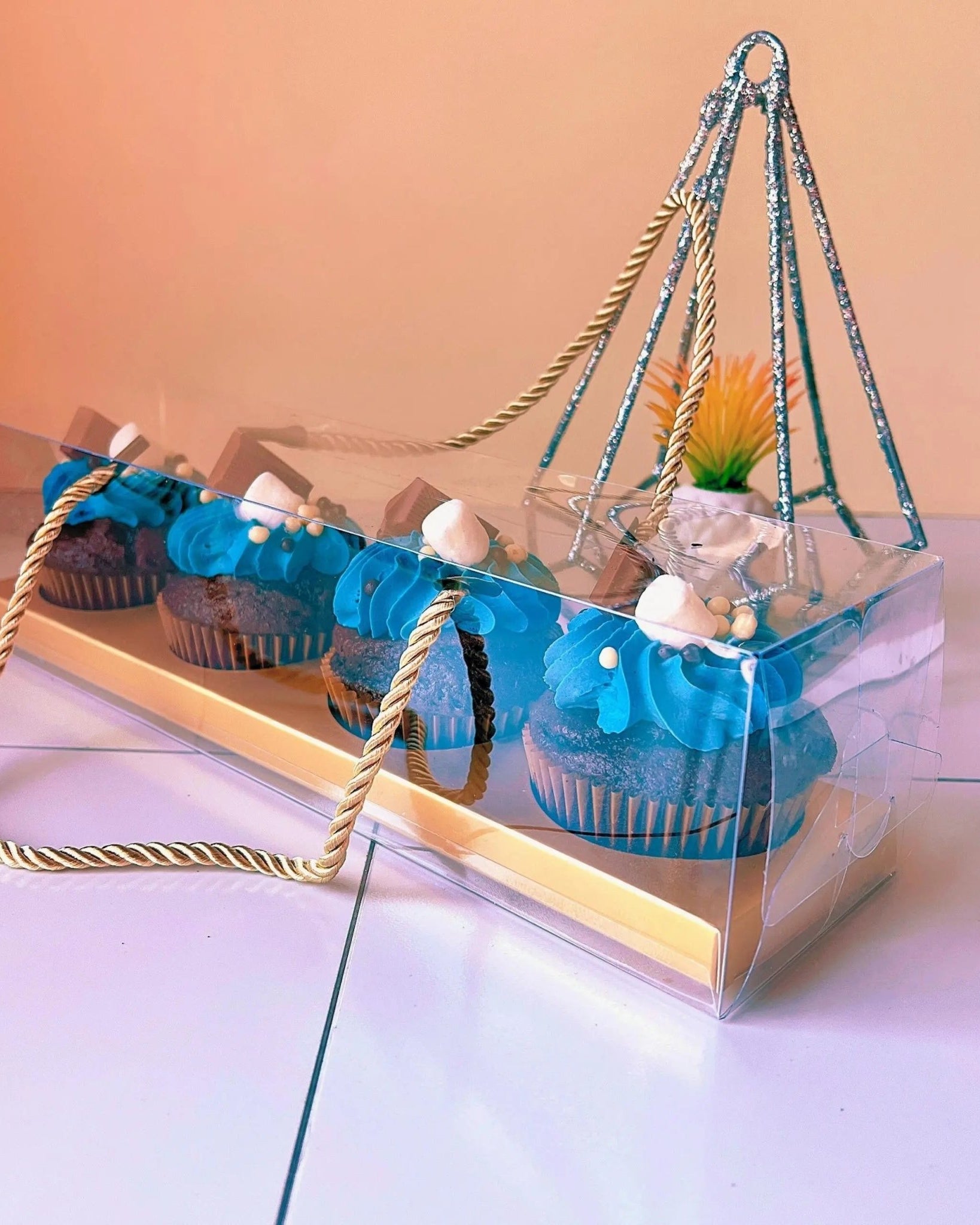 Clear Cupcake & Muffin Boxes with 4 Holes - Sweet Degrees Kitchen