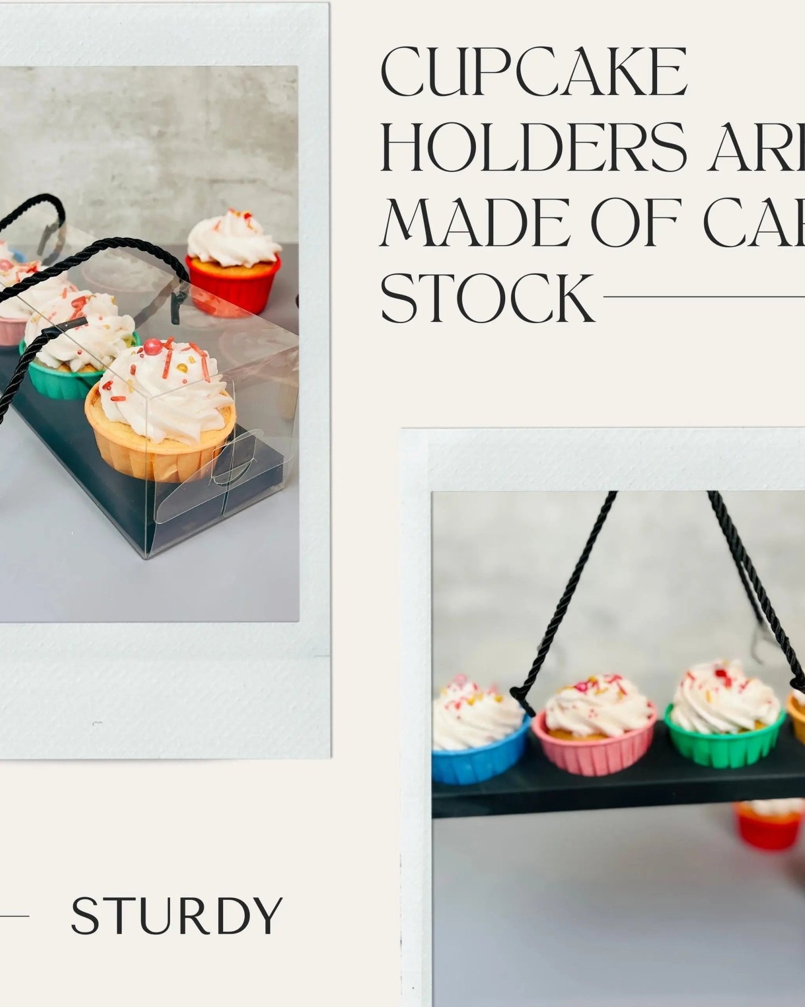 Clear Cupcake & Muffin Boxes with 4 Holes - Sweet Degrees Kitchen