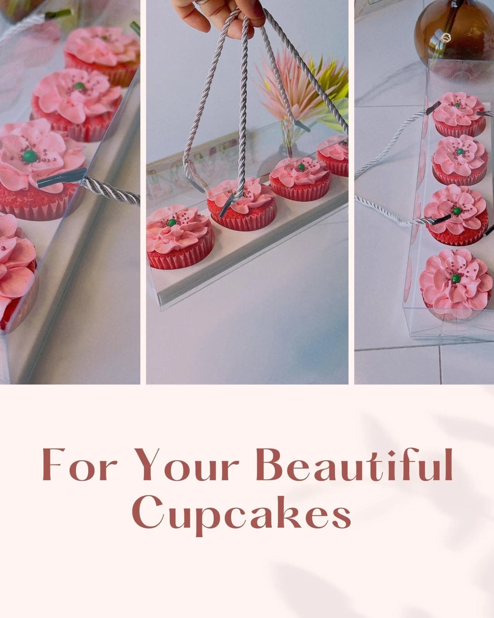 Clear Cupcake & Muffin Boxes with 4 Holes - Sweet Degrees Kitchen