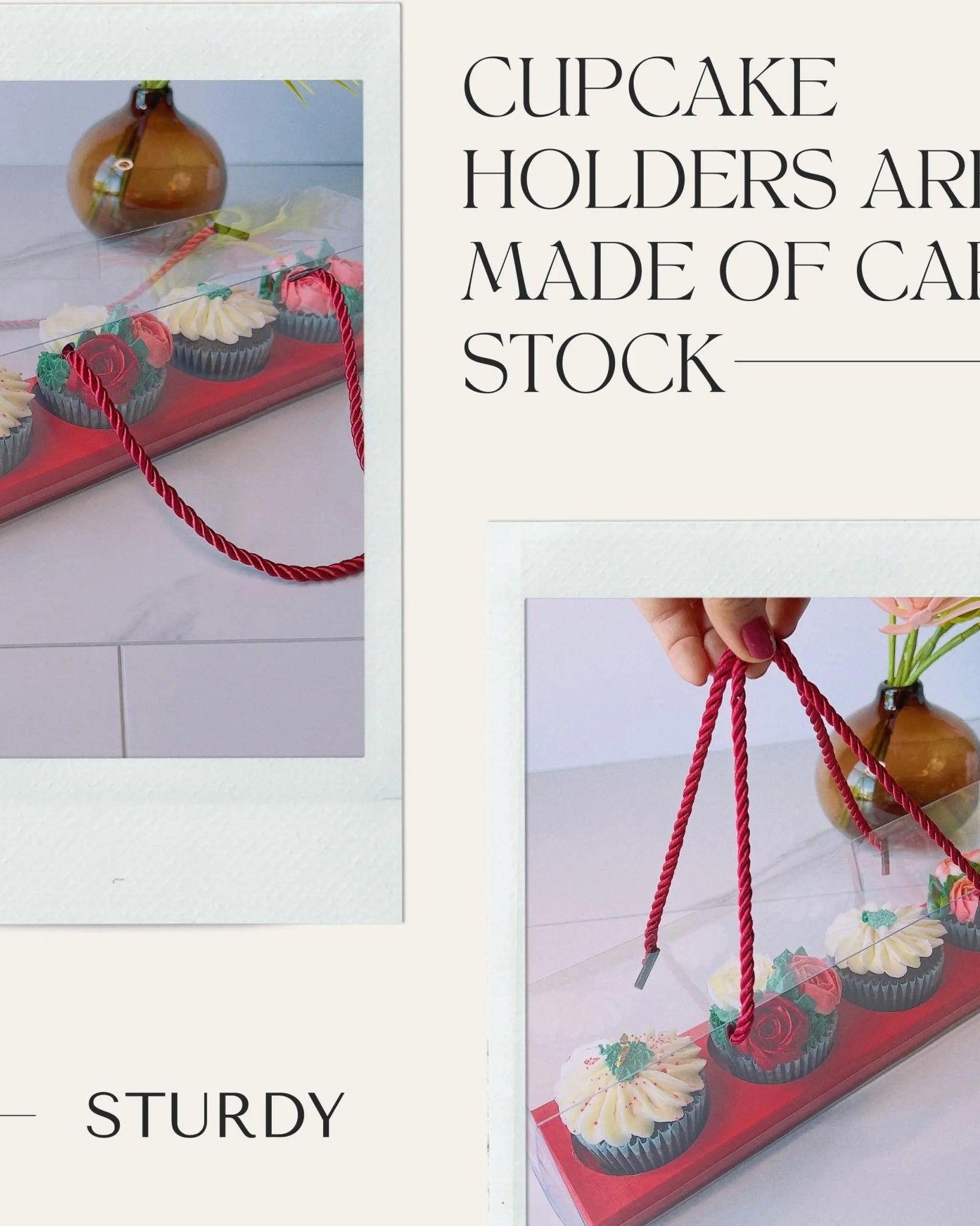 Clear Cupcake & Muffin Boxes with 4 Holes - Sweet Degrees Kitchen