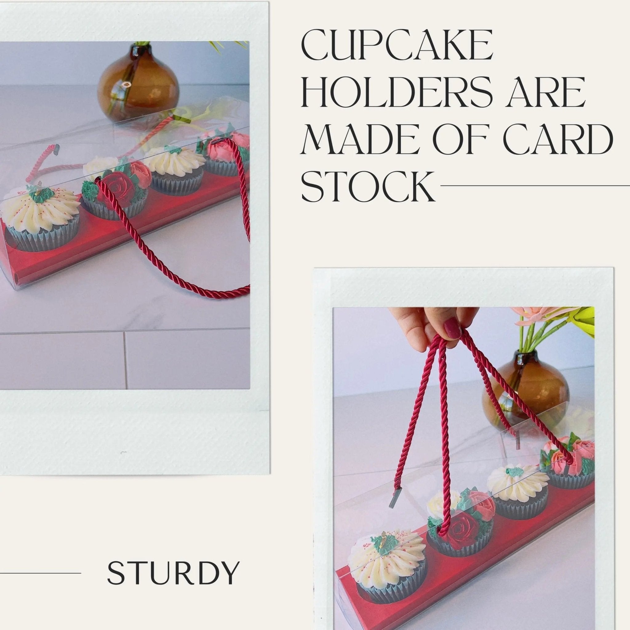 Clear Cupcake & Muffin Boxes with 4 Holes - Sweet Degrees Kitchen