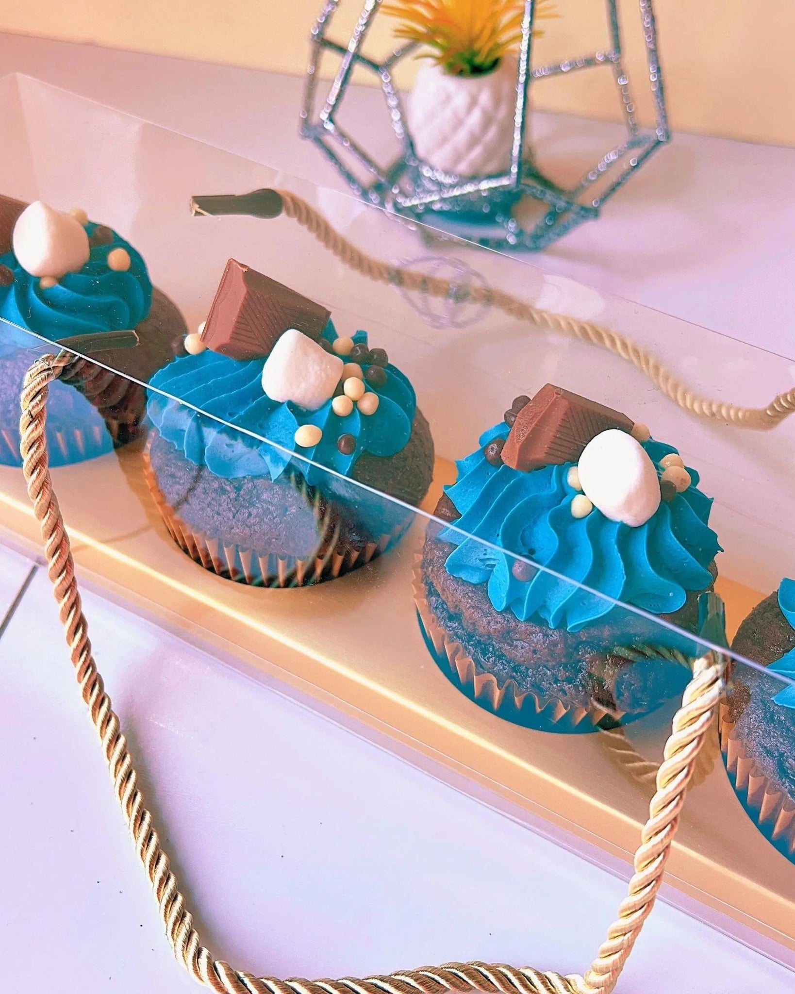 Clear Cupcake & Muffin Boxes with 4 Holes - Sweet Degrees Kitchen