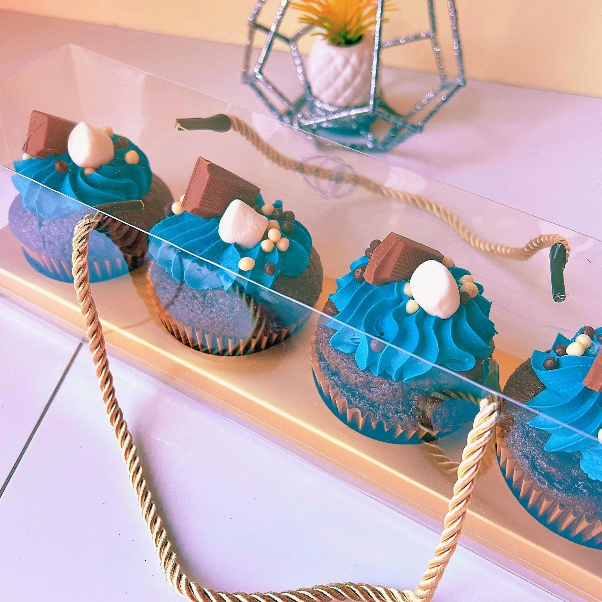 Clear Cupcake & Muffin Boxes with 4 Holes - Sweet Degrees Kitchen