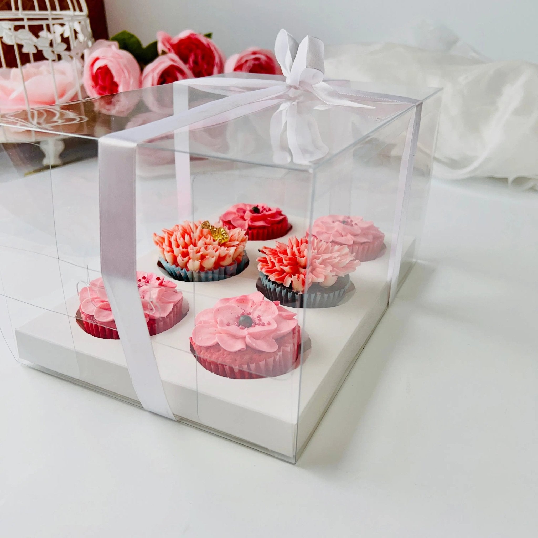 Clear Cupcake & Muffin boxes with 6 holes - Cupcake6 Cupcake boxes