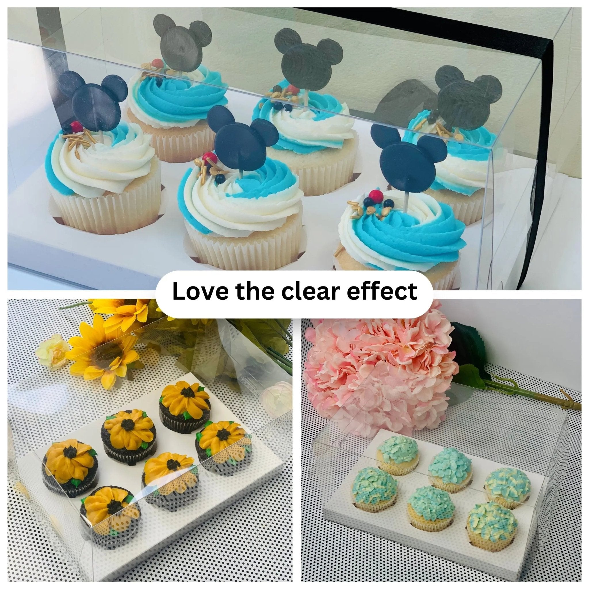 Clear Cupcake & Muffin boxes with 6 holes - Cupcake6 Cupcake boxes