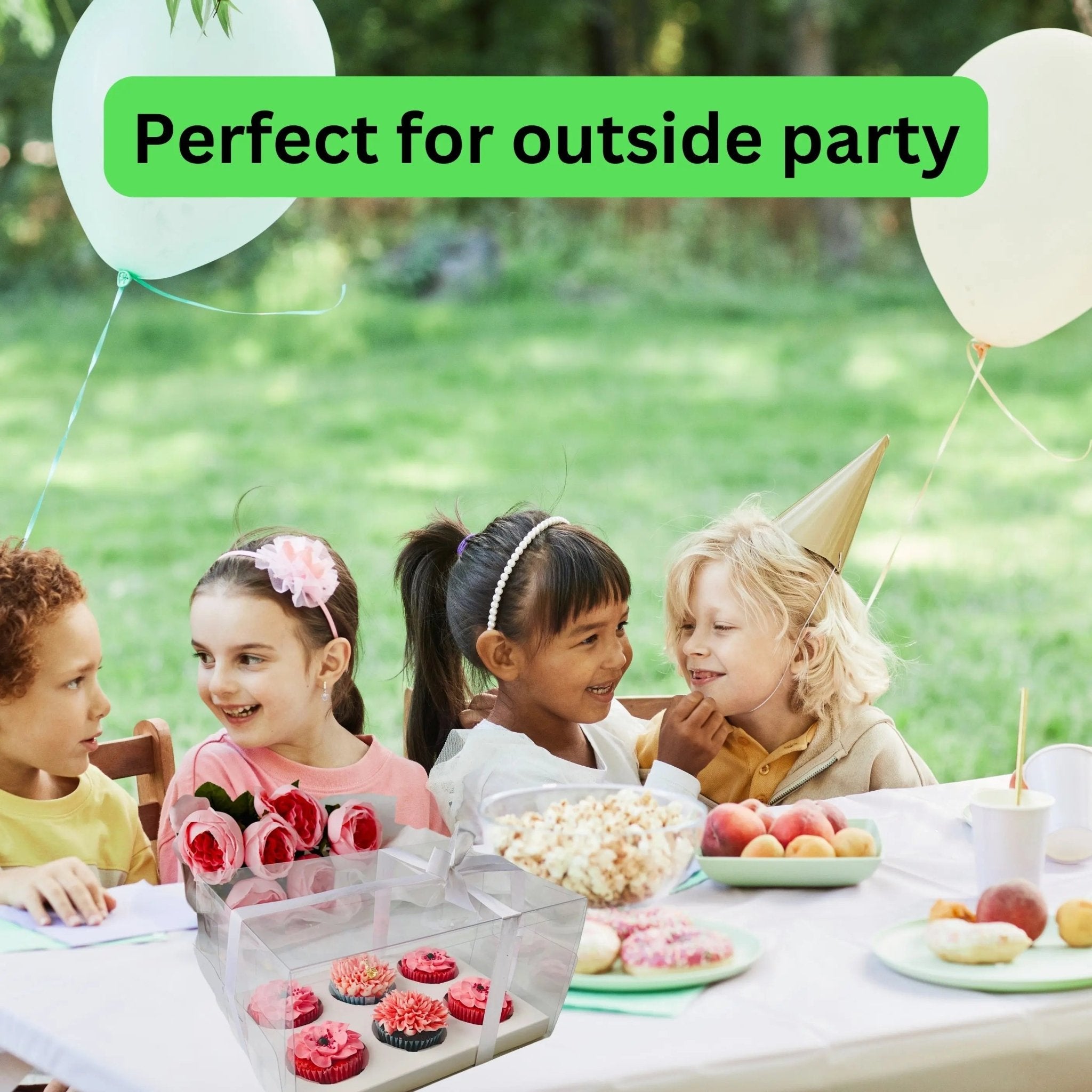 Clear Cupcake & Muffin boxes with 6 holes - Cupcake6 Cupcake boxes