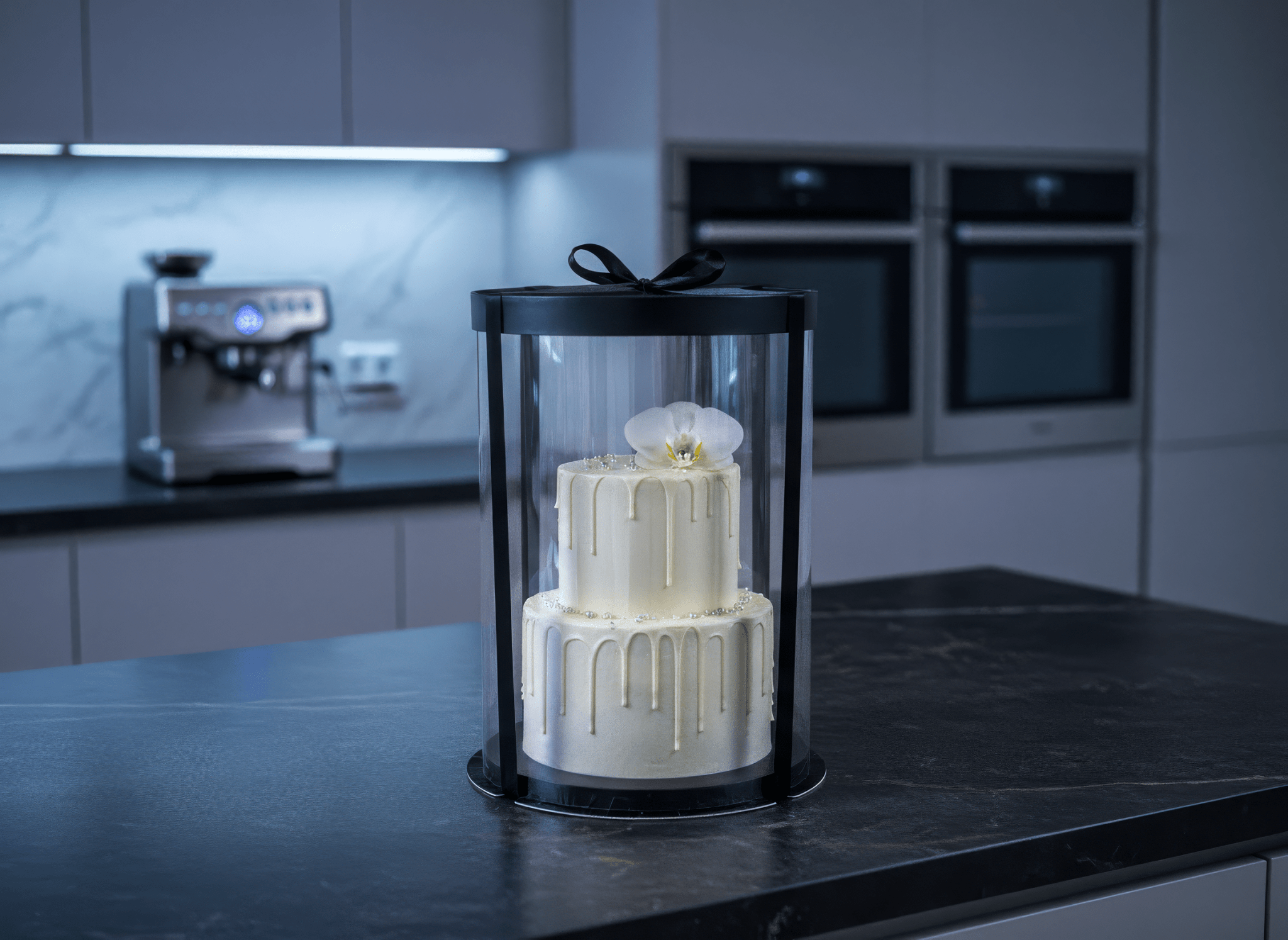 Extra Tall Square Clear Cake Box - 10 x 10 x 12 Inch - Square Cake box