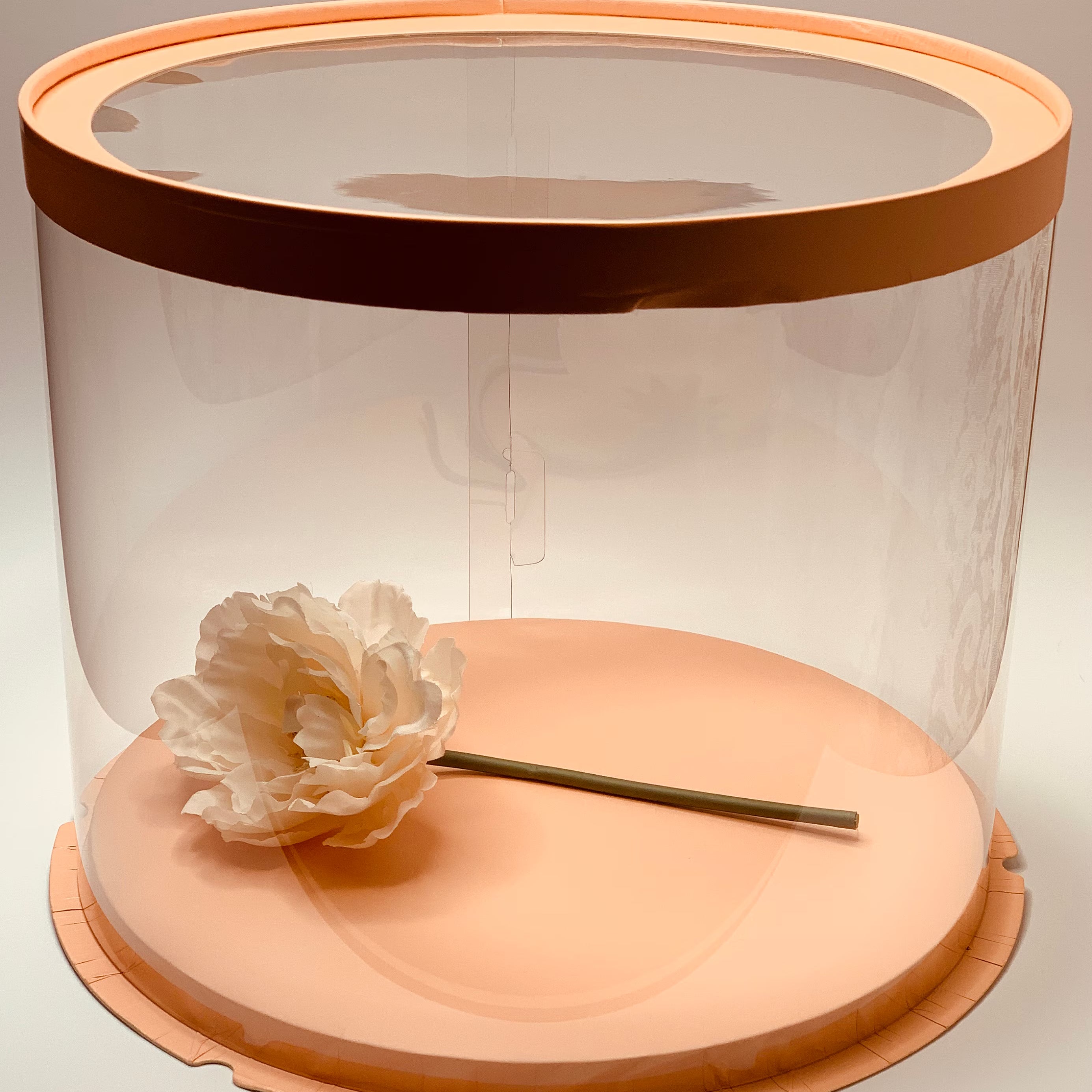 Tall Round Clear Cake Box with Window - 10 Inch Diameter x 12.5 Tall - variant_product_type