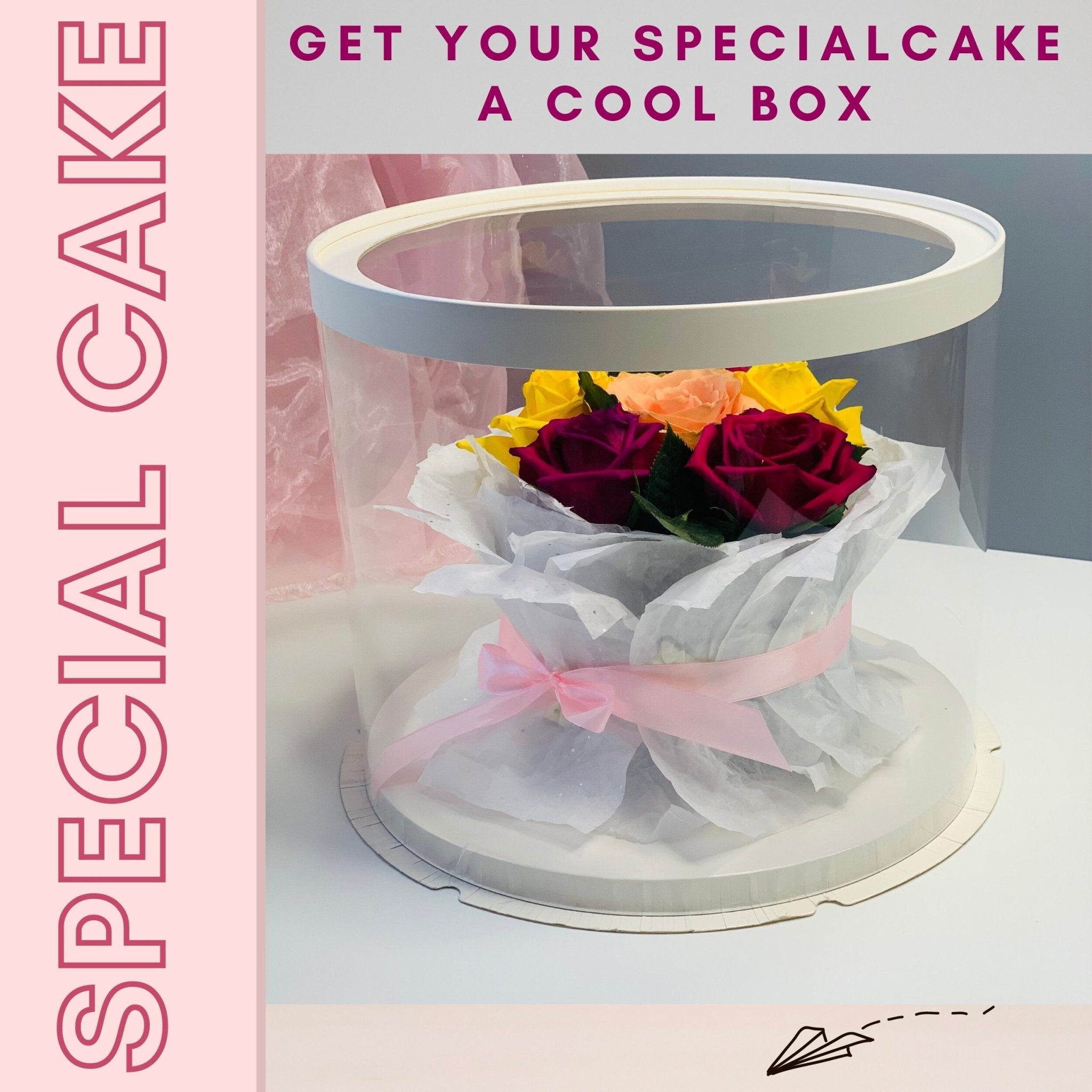 Large Round Clear Cake Box 12" - Transparent Cake Container with Lid for 2 - Tier Cakes, Wedding Cakes & Desserts - Round cake box