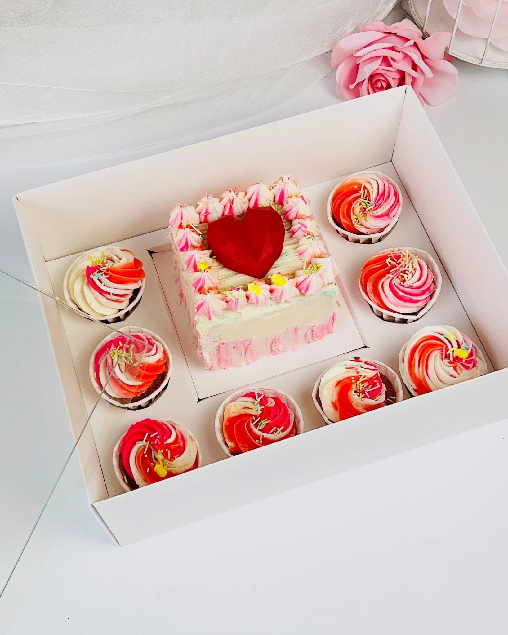 Mini Cake and Cupcakes Bento Boxes With Clear Lid and 8 Cupcake Holes - Sweet Degrees Kitchen