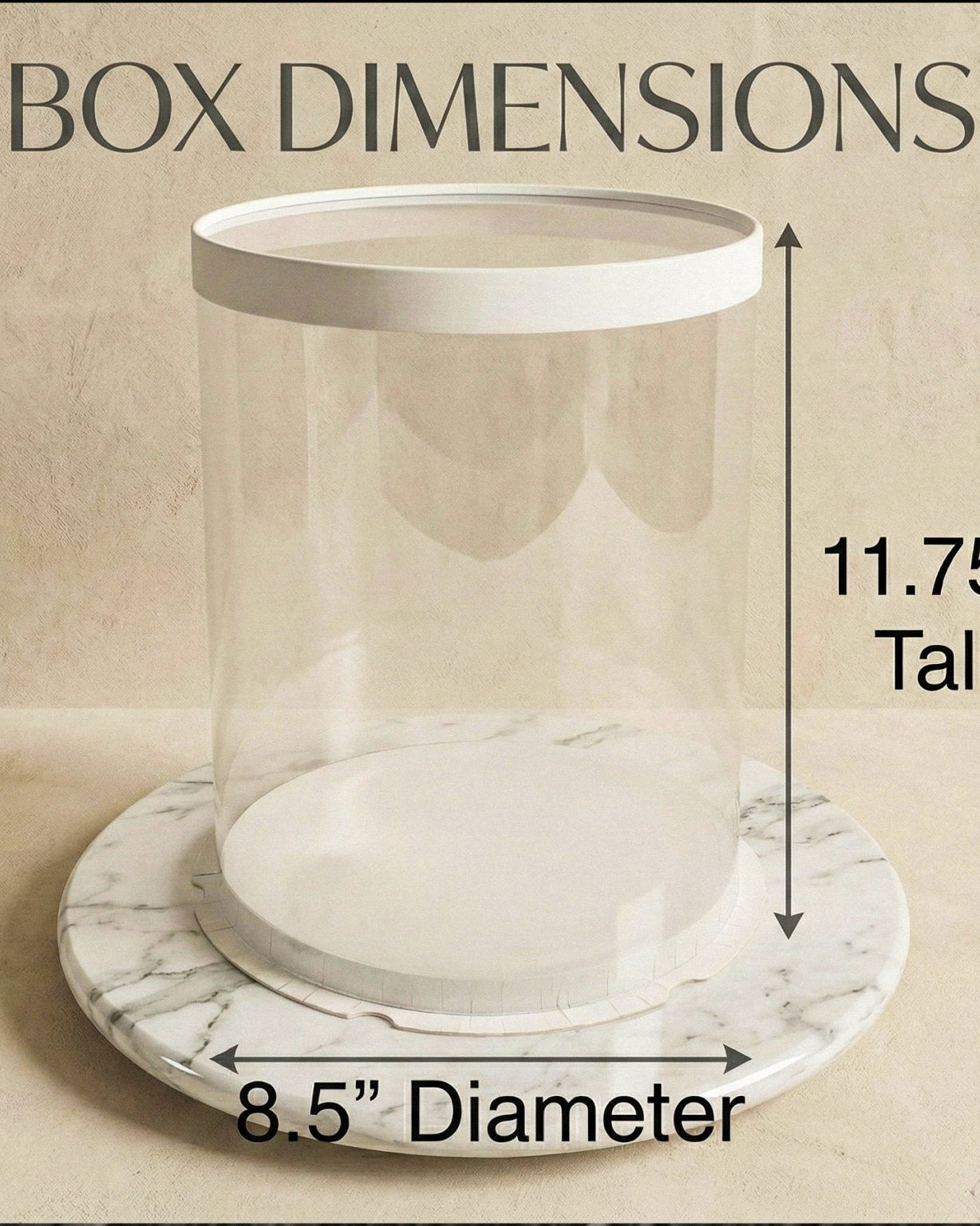 Tall Clear Cake Box 8.5" D x 11.75" H - Transparent Cake Boxes with Window - RW851175 Round cake box
