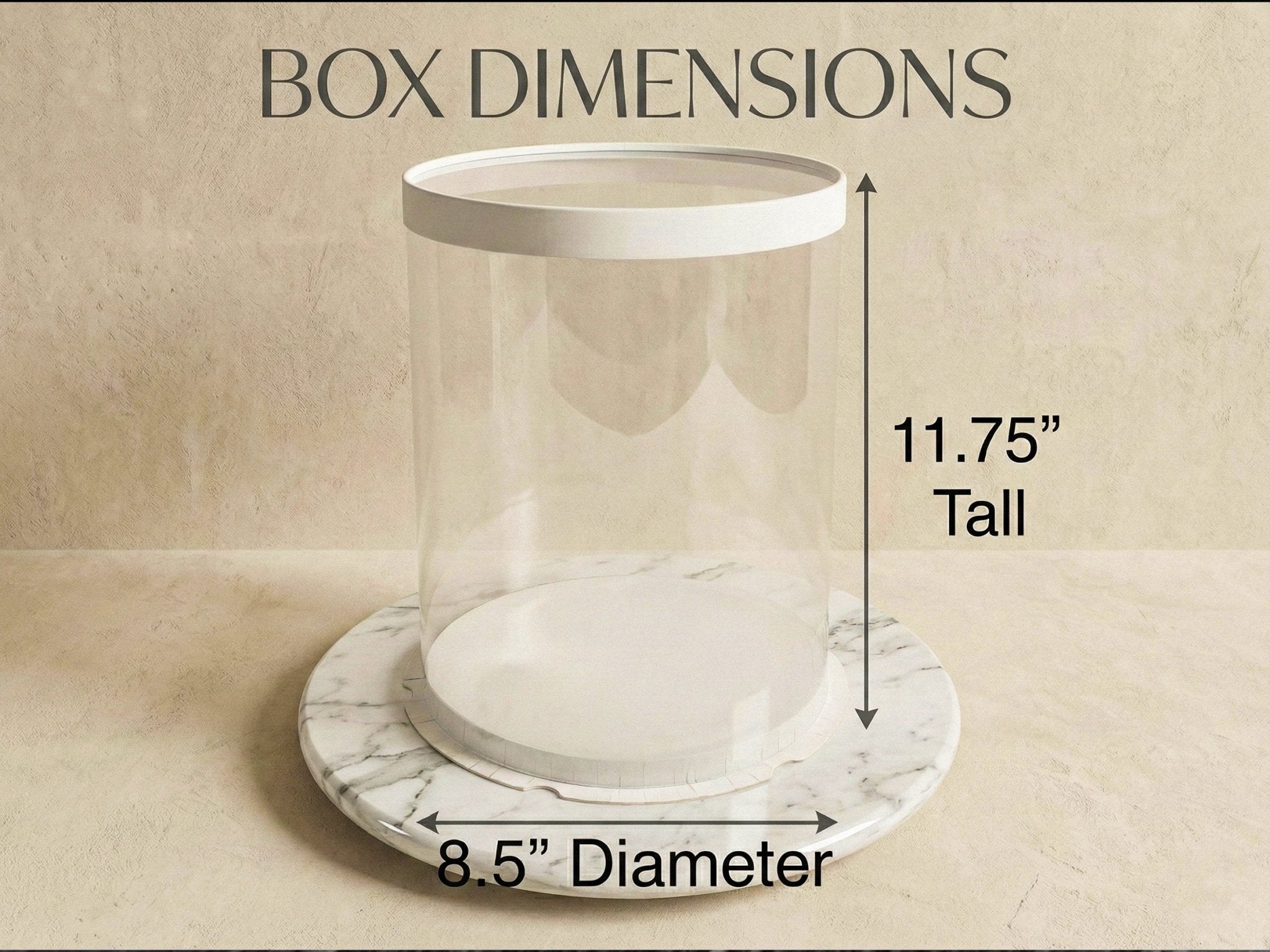 Tall Clear Cake Box 8.5" D x 11.75" H - Transparent Cake Boxes with Window - RW851175 Round cake box