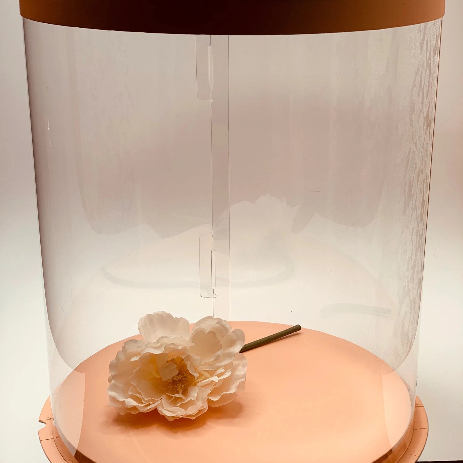 Tall Round Clear Cake Box with Window - 10 Inch Diameter x 12.5 Tall - Round cake box