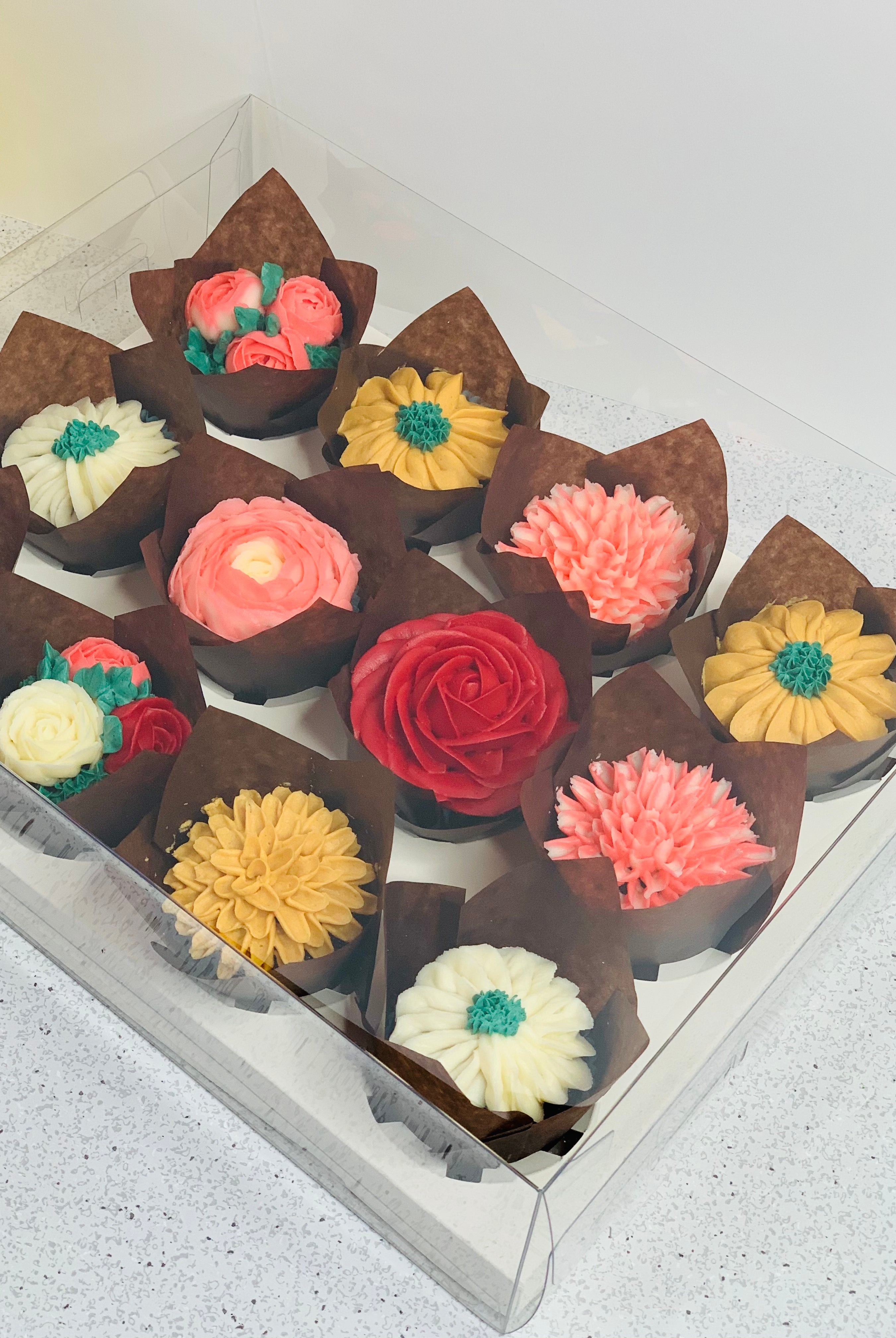 Clear Cupcake & Muffin boxes with 12 holes