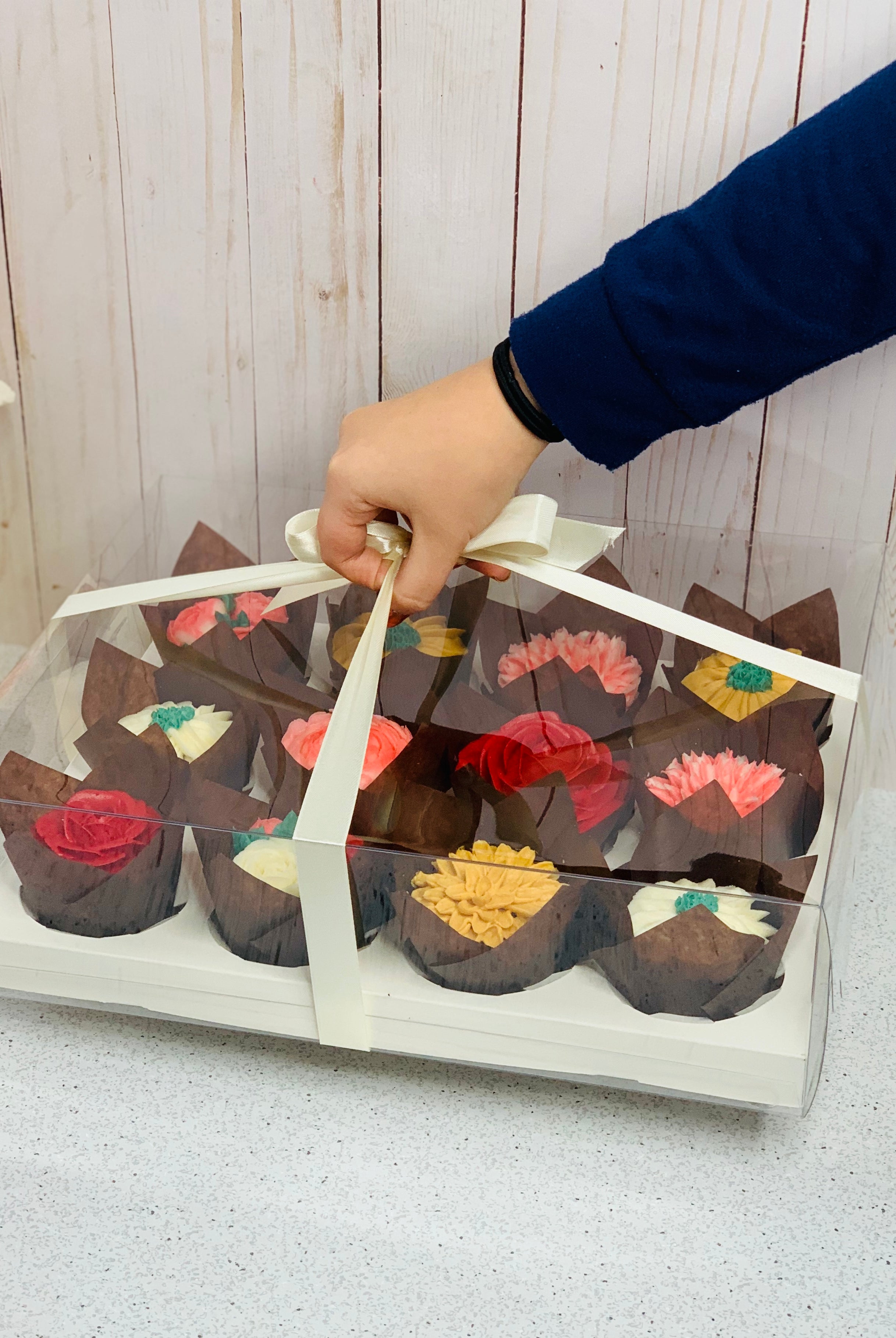 Clear Cupcake & Muffin boxes with 12 holes
