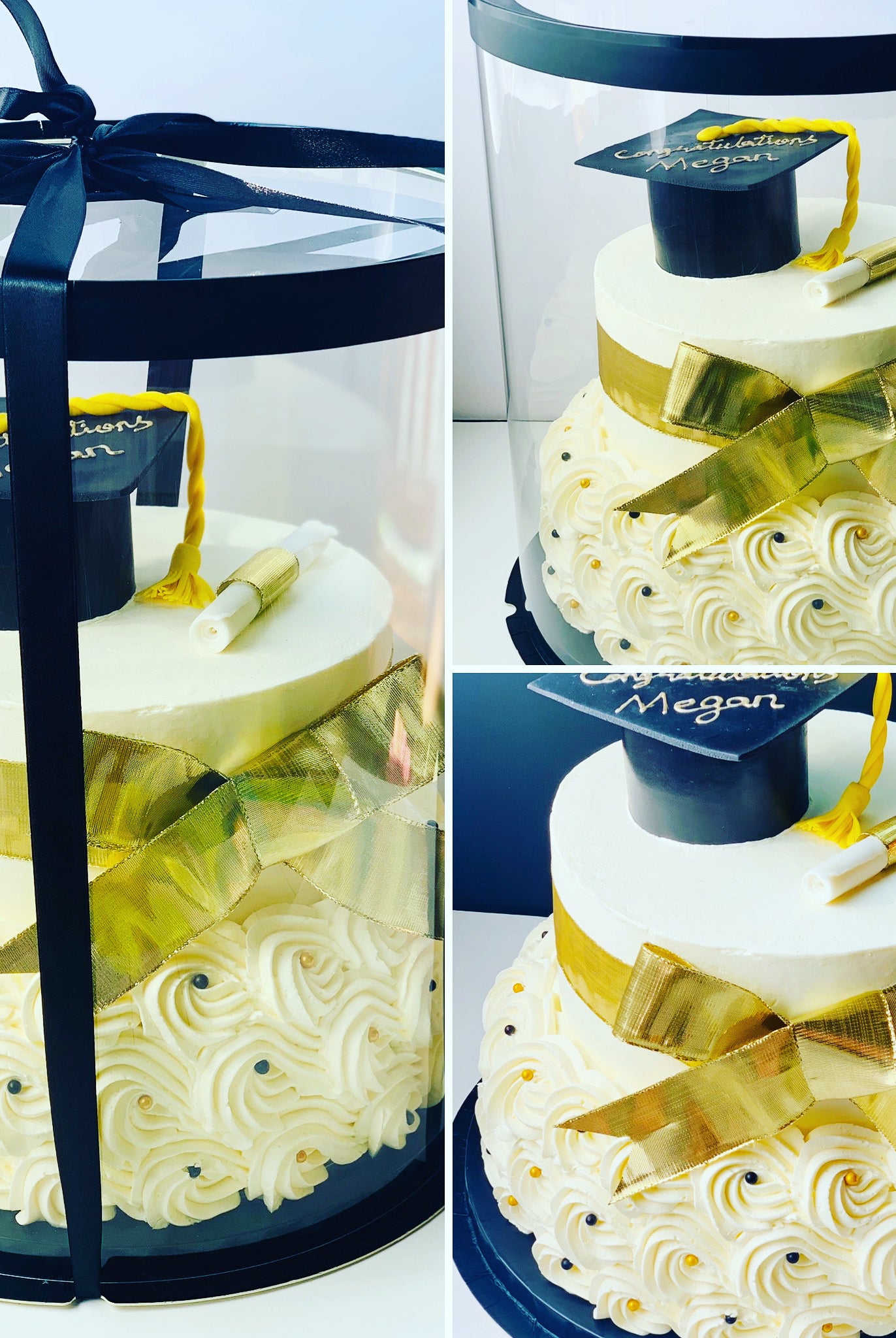 Tall Large Round Clear Cake Box