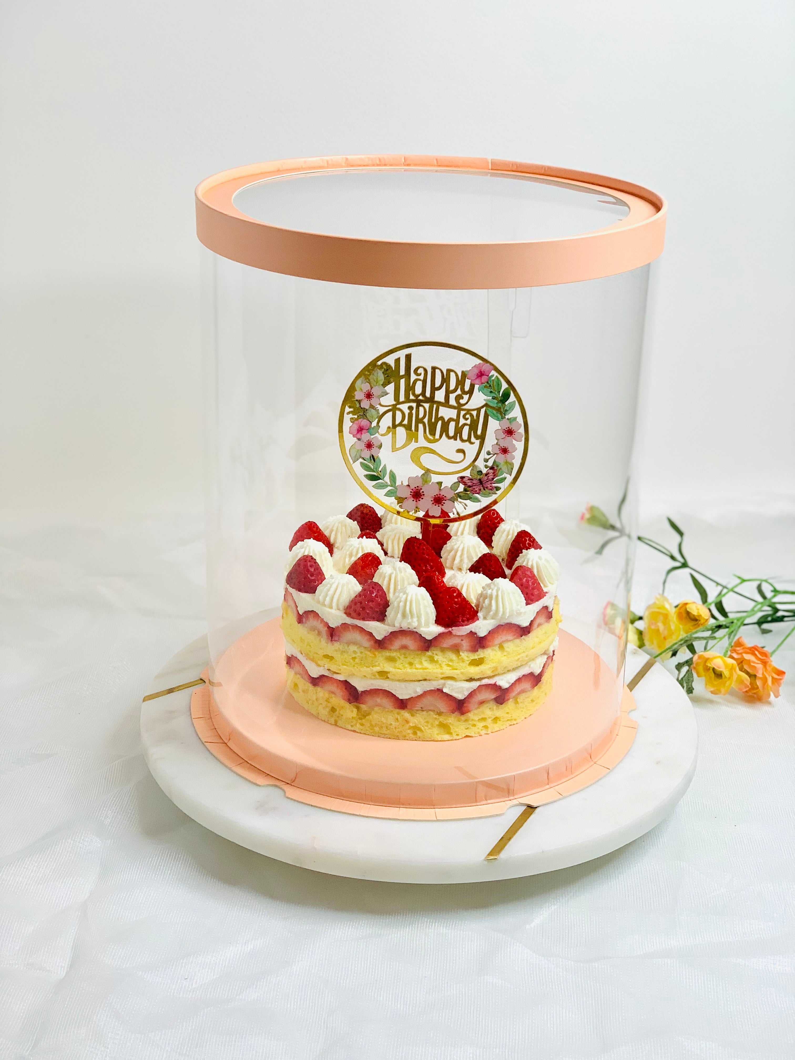 Tall Clear Round Cake Box 8.5" Diameter x 11.75"