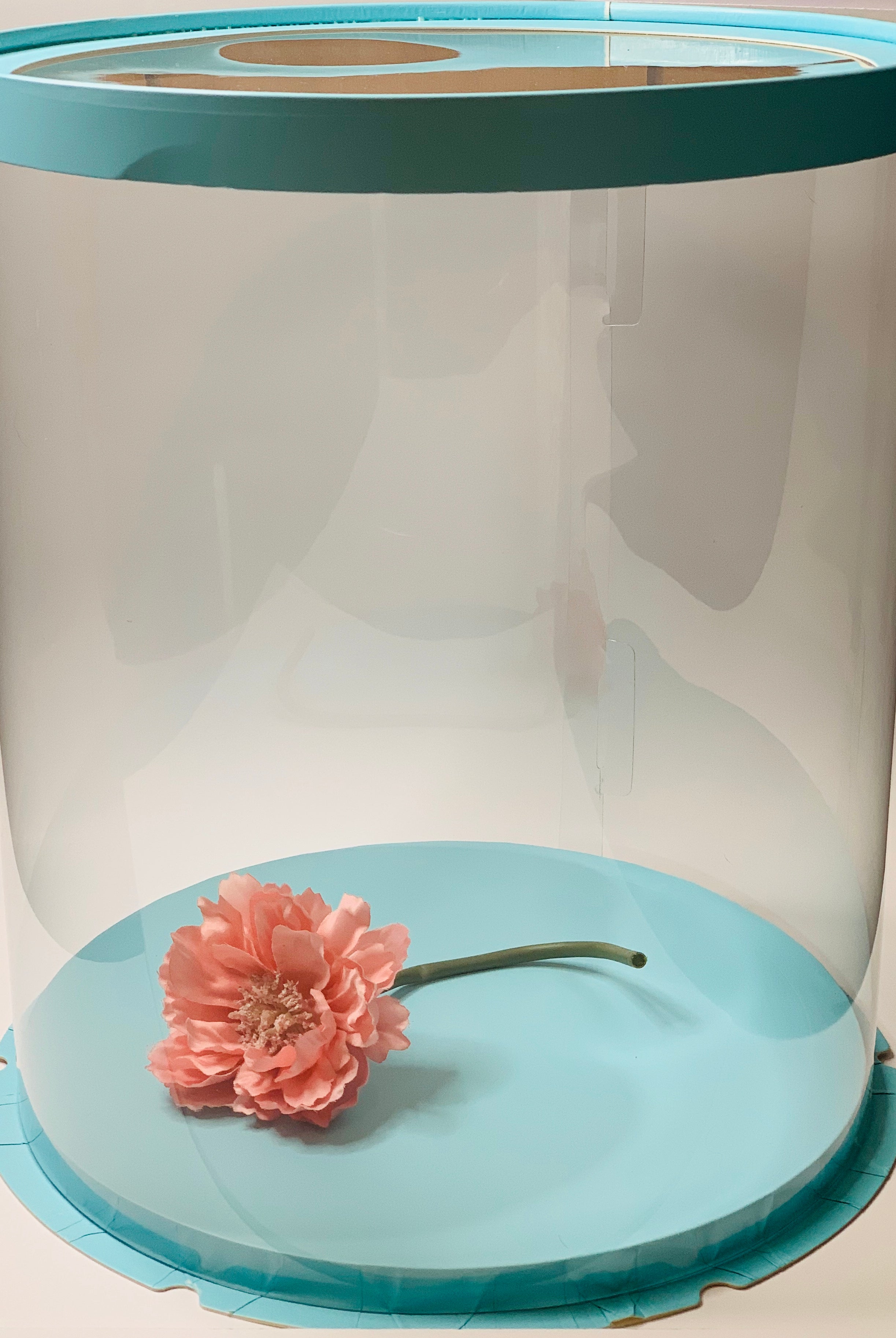Tall Large Round Clear Cake Box