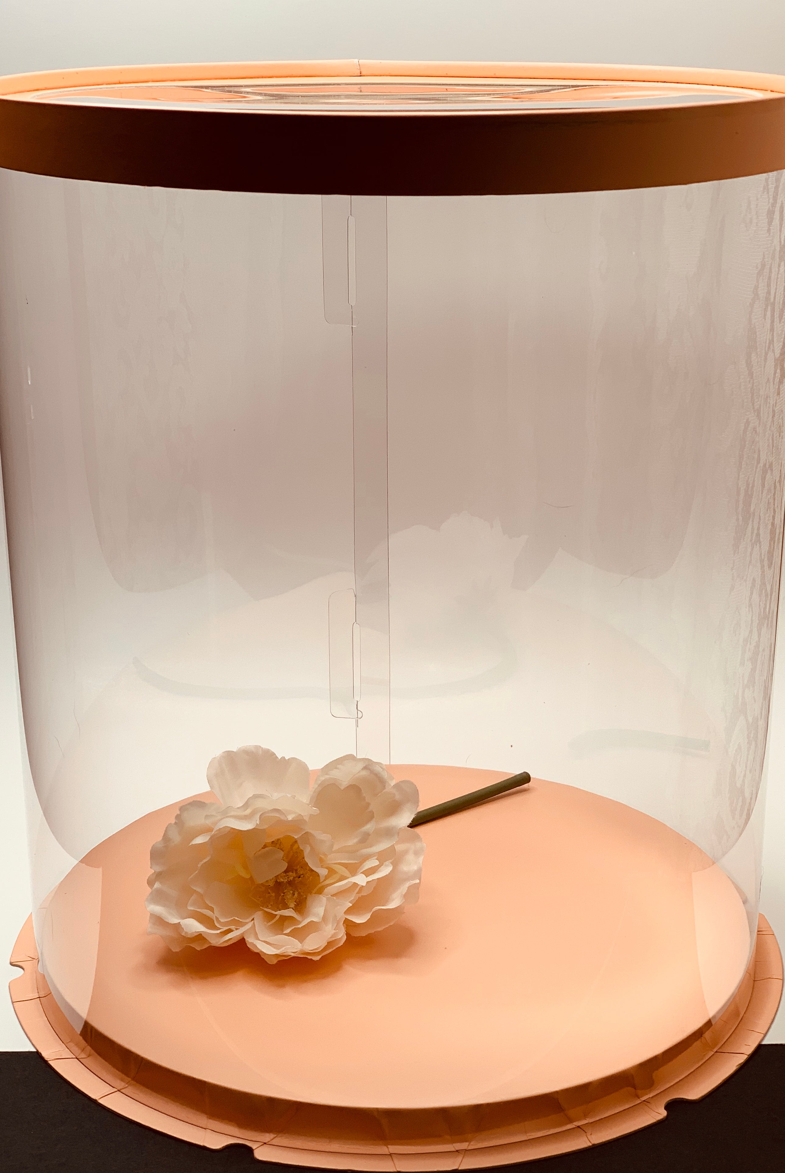 Pink Tall Large Round Clear Cake Box