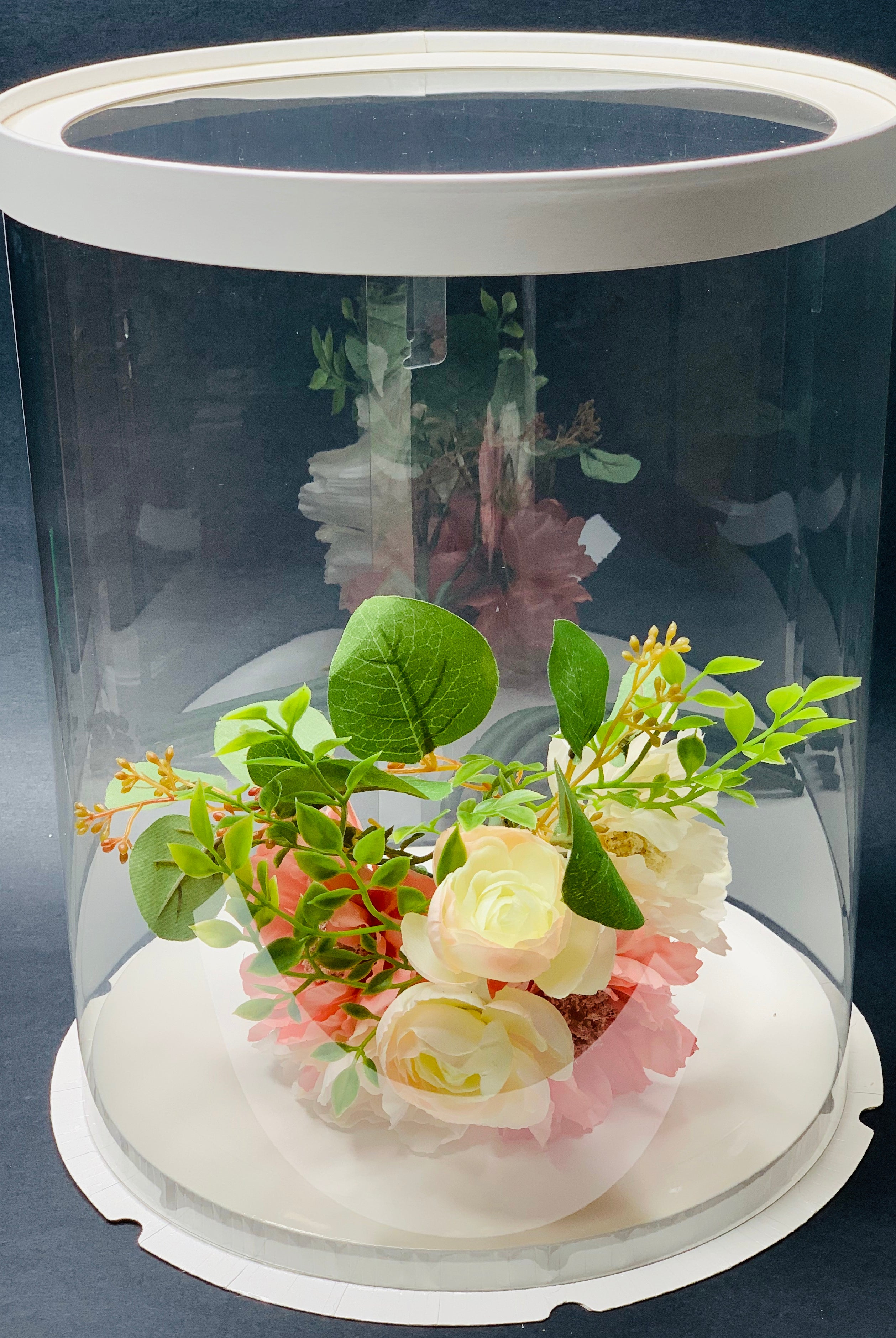 Tall Large Round Clear Cake Box