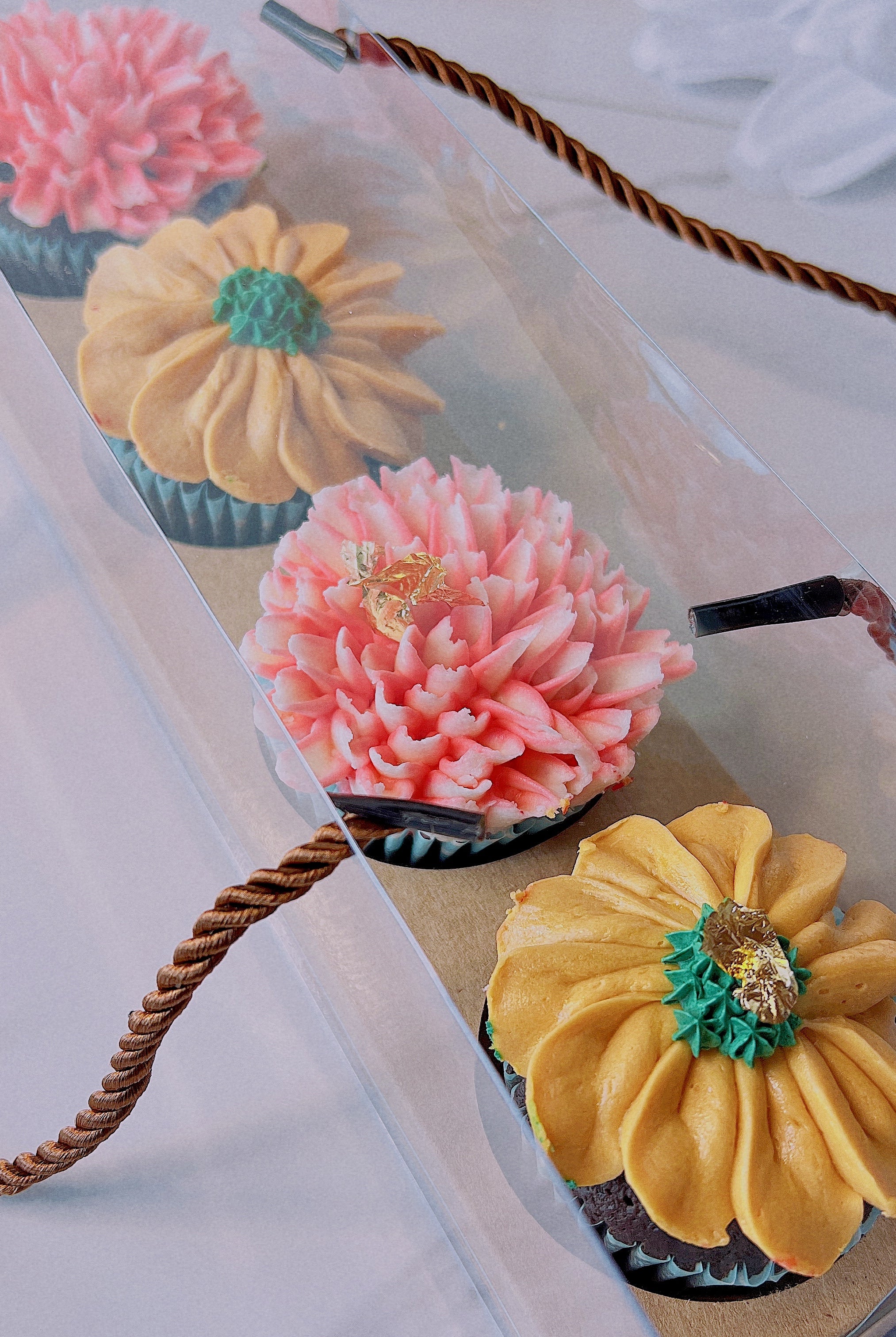Clear Cupcake & Muffin Boxes with 4 Holes