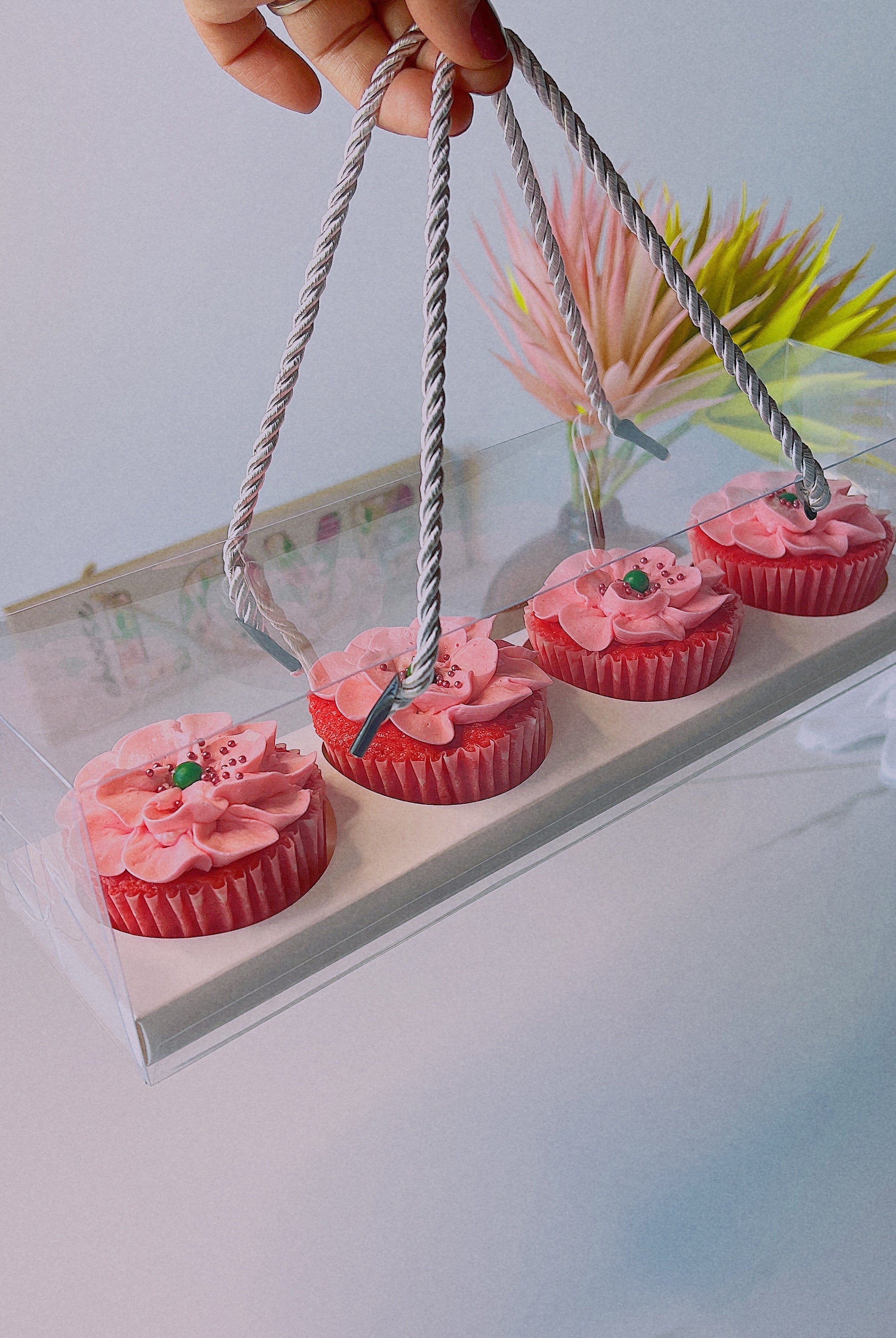 Clear Cupcake & Muffin Boxes with 4 Holes