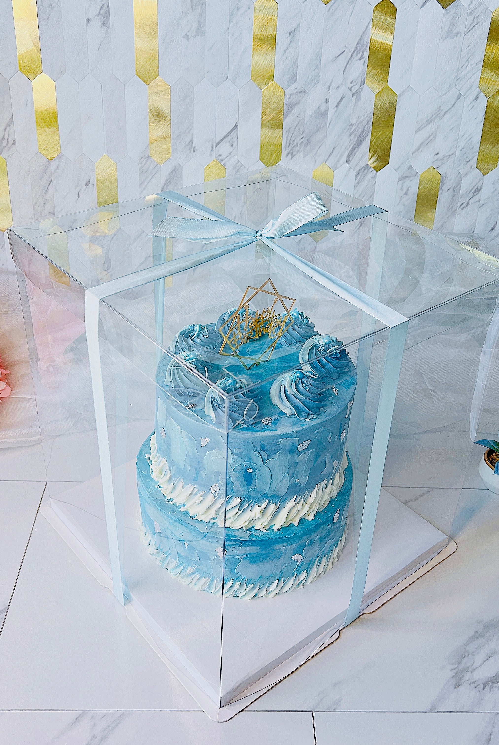 Large Tall Clear Cake Box