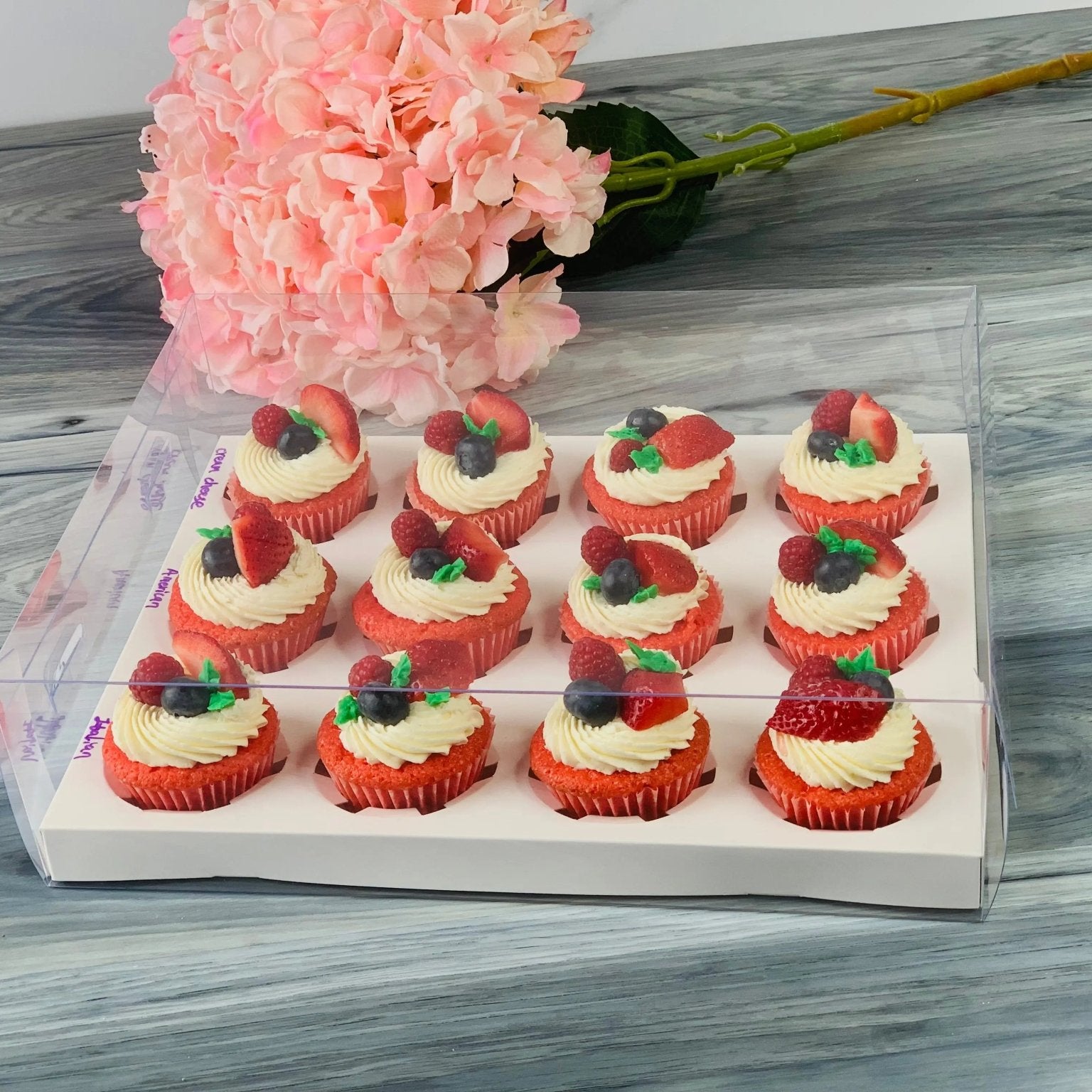 Clear Cupcake or Muffin Boxes for 12 Standard Cupcakes with Insert - Cupcake boxes