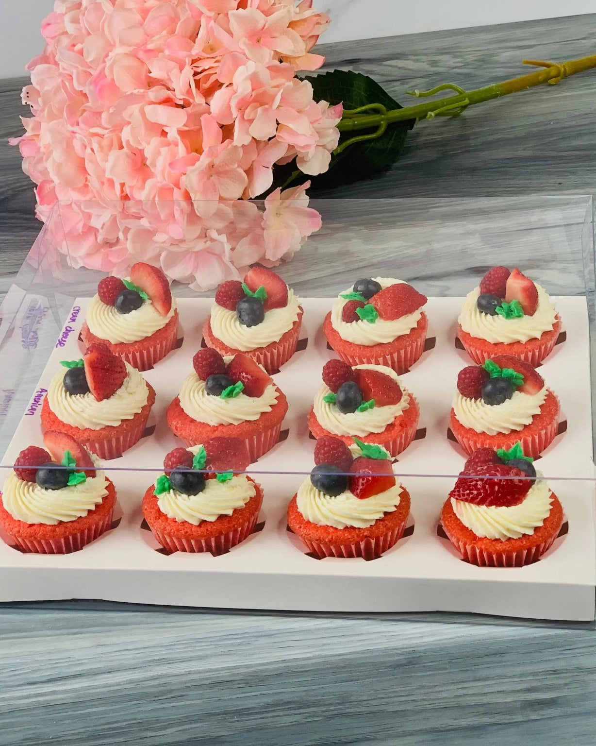 Clear Cupcake & Muffin Boxes with 12 Holes - cupcake12Sweet Degrees Kitchen