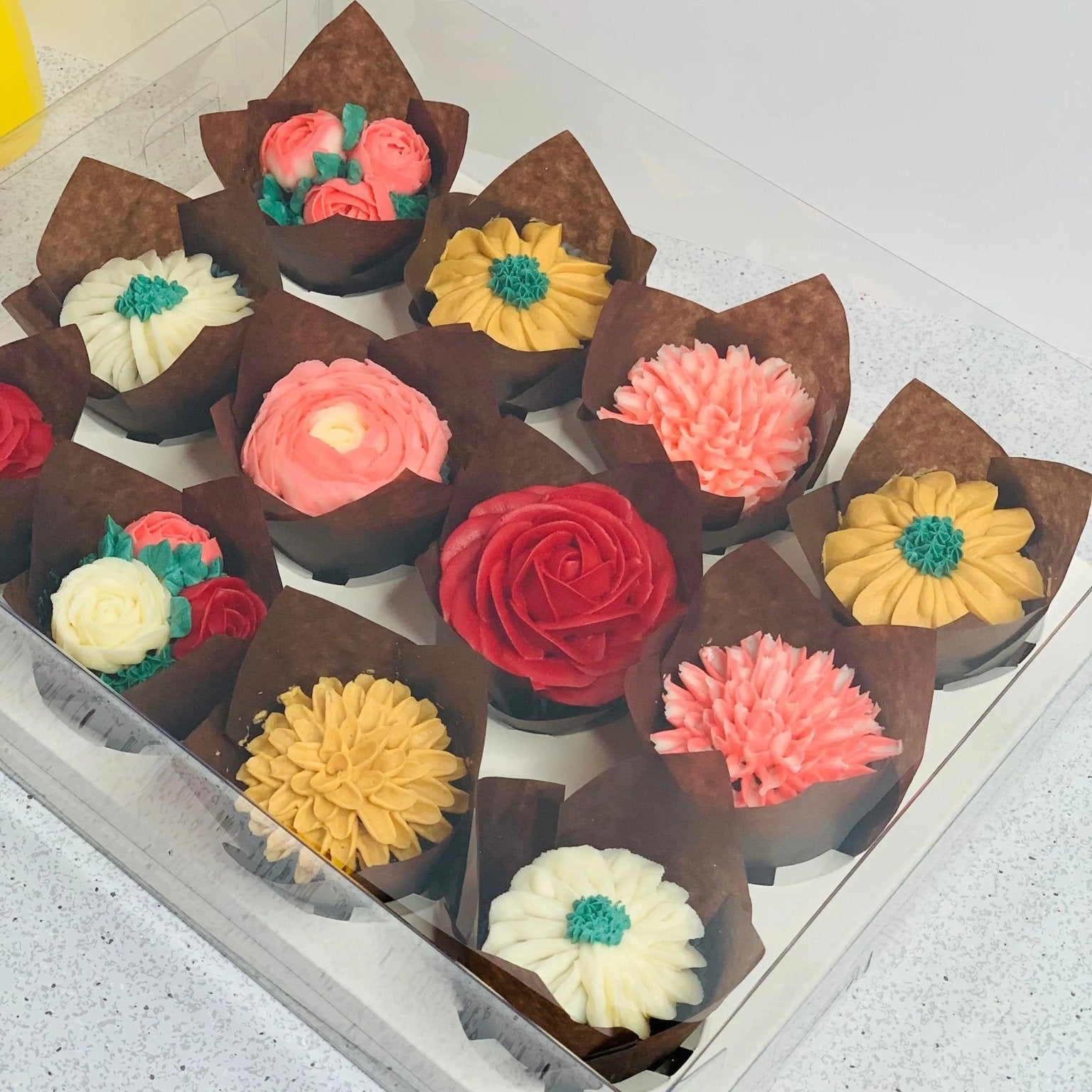 Clear Cupcake or Muffin Boxes for 12 Standard Cupcakes with Insert - cupcake12 Cupcake boxes