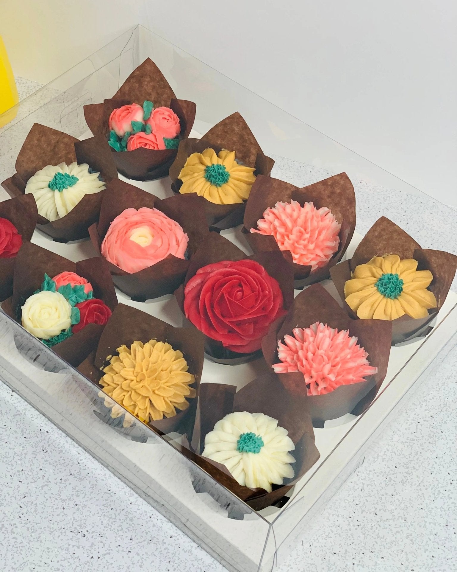 Clear Cupcake & Muffin Boxes with 12 Holes - cupcake12Sweet Degrees Kitchen