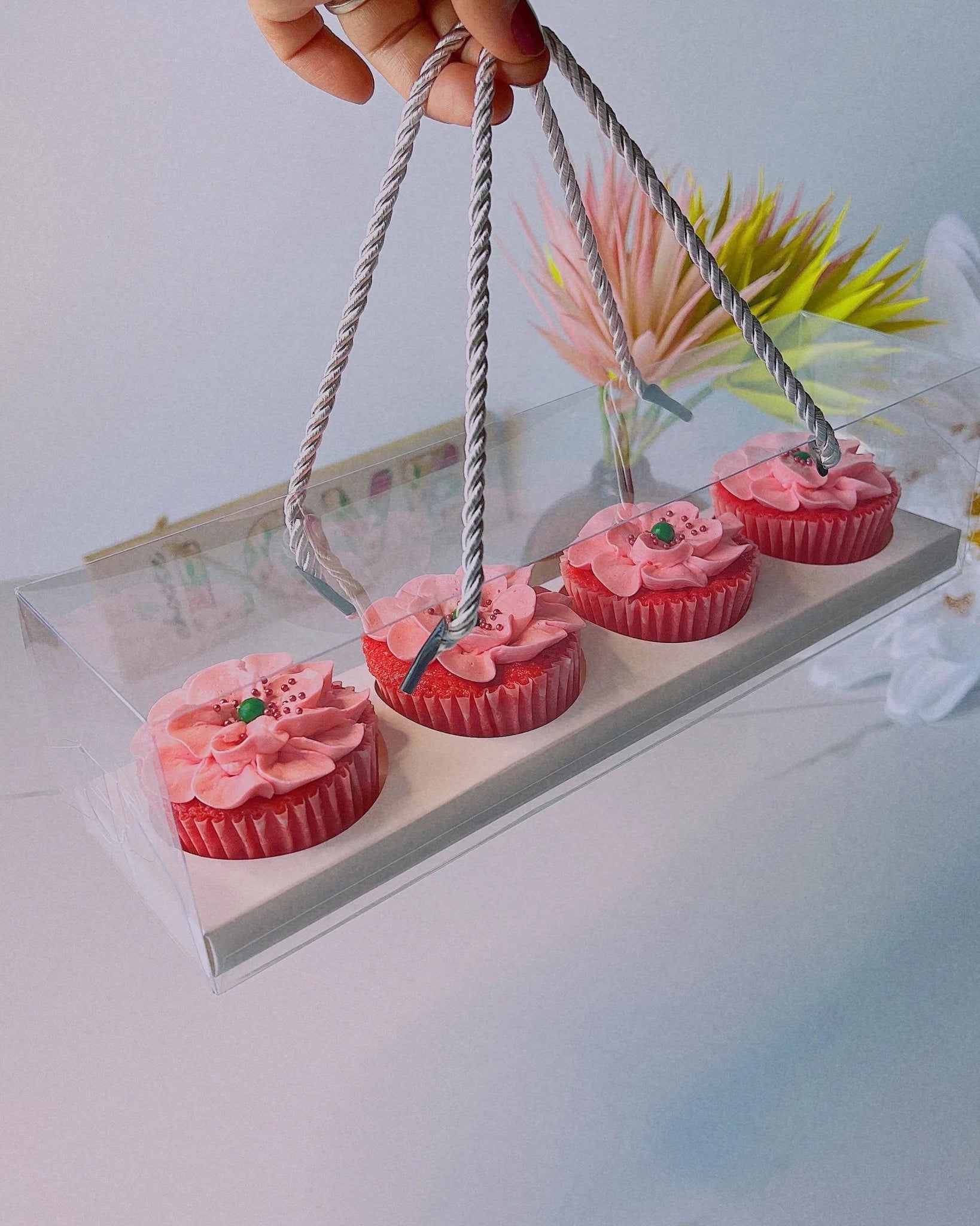 Clear Cupcake & Muffin Boxes with 4 Holes - Sweet Degrees Kitchen