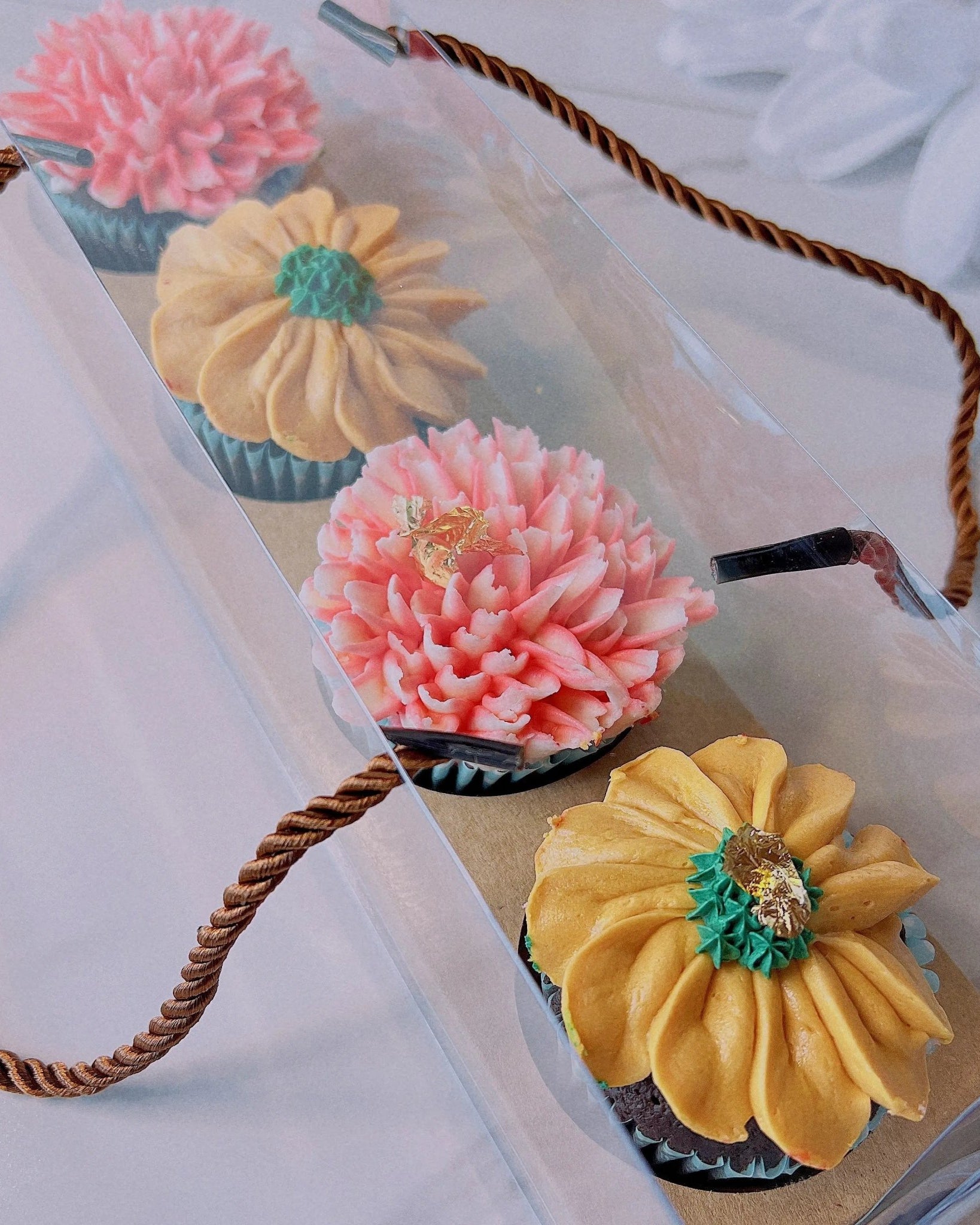 Clear Cupcake & Muffin Boxes with 4 Holes - Sweet Degrees Kitchen